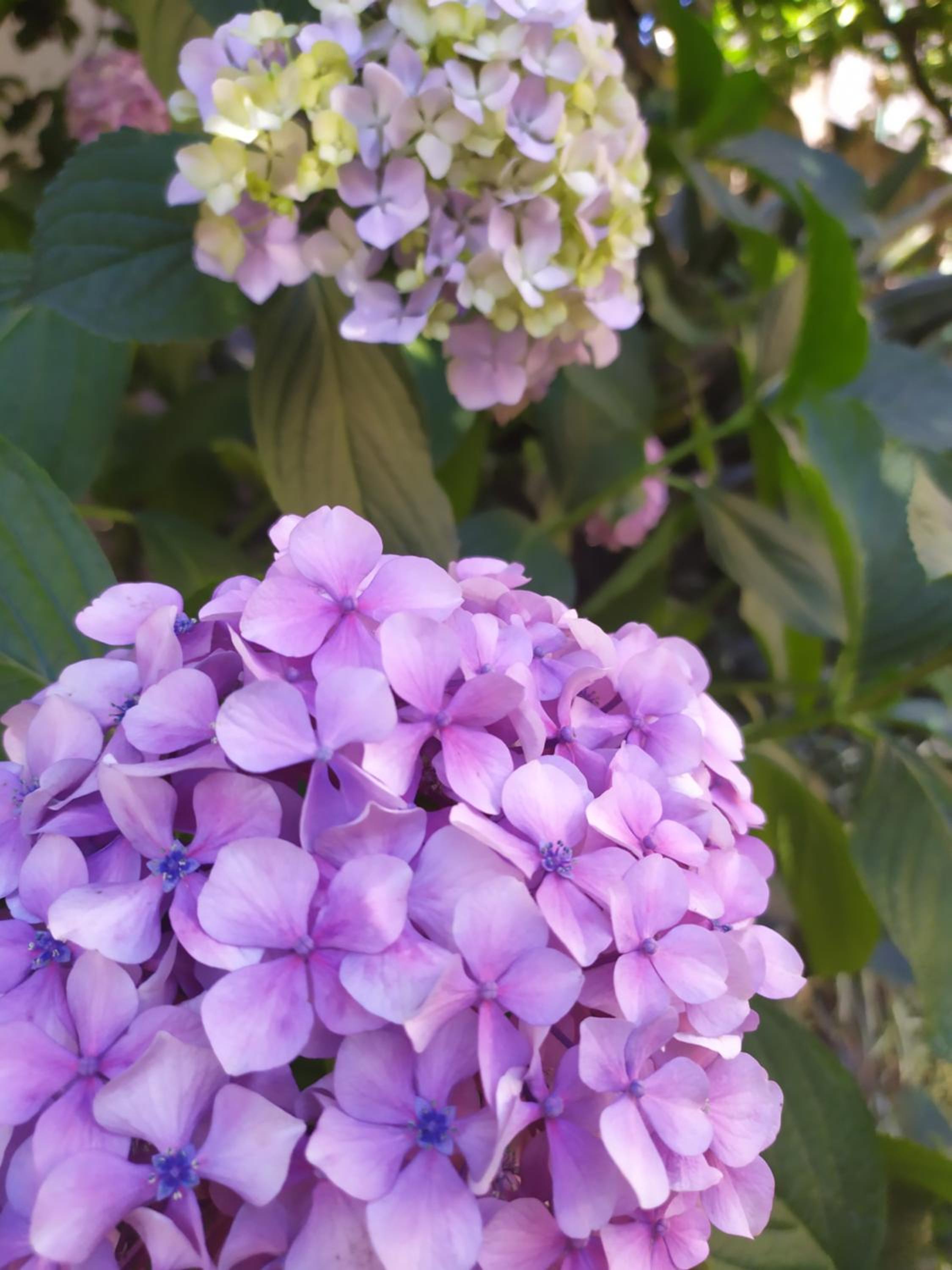 Photo 40