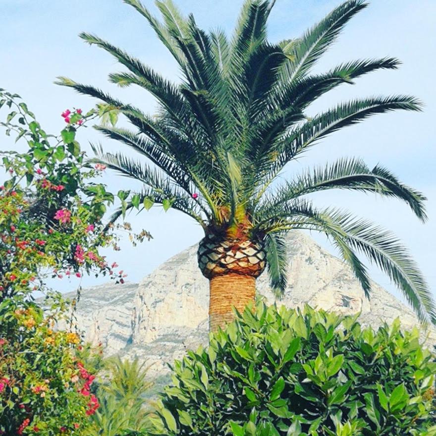 Apartment PaCa Javea view 4