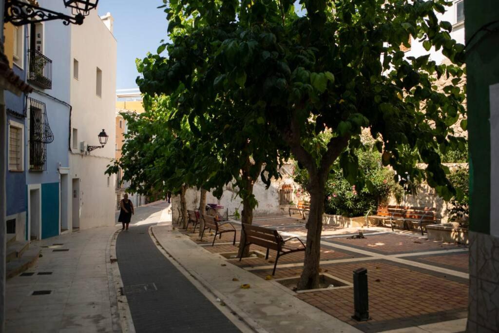 Photo 19