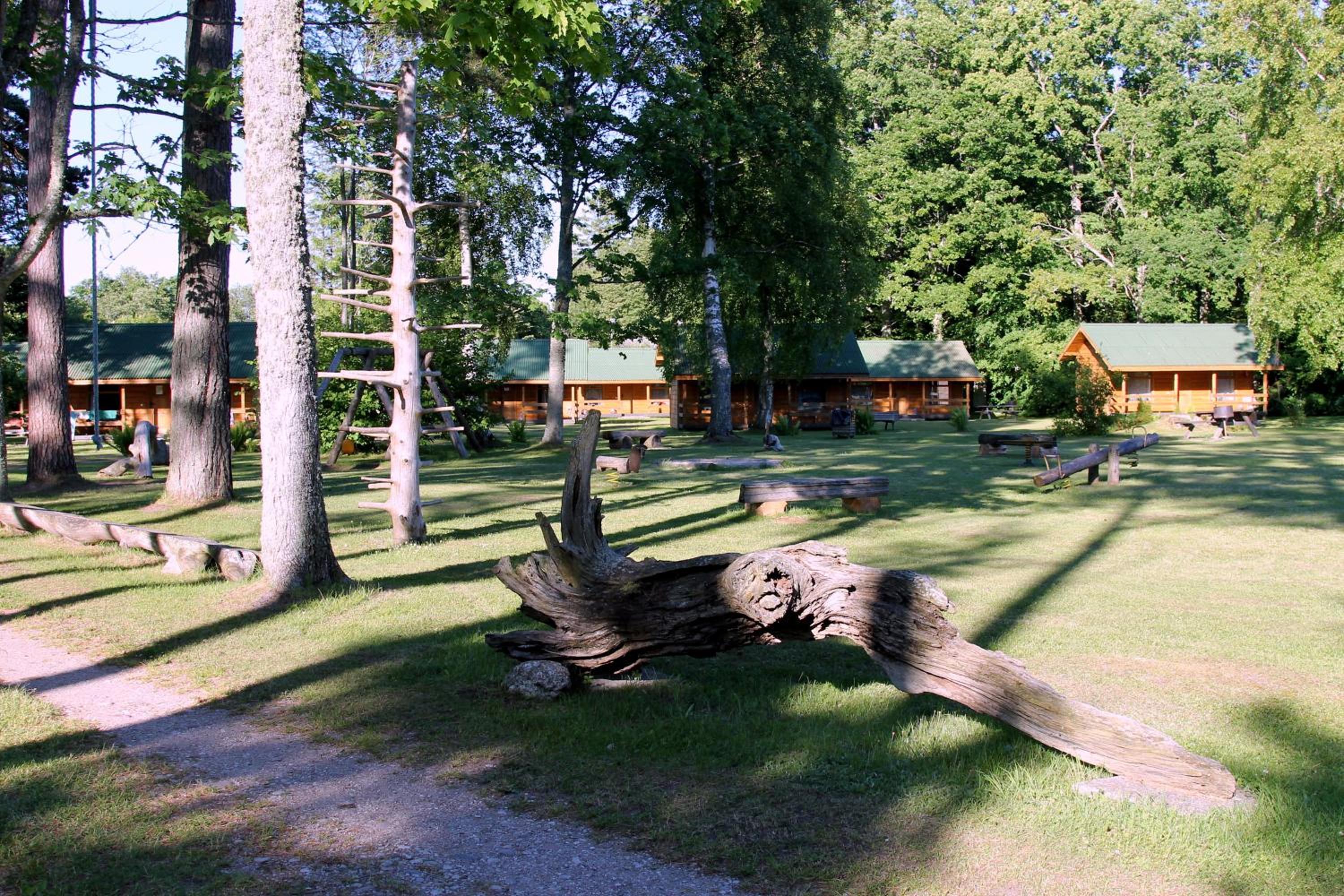 Photo 26