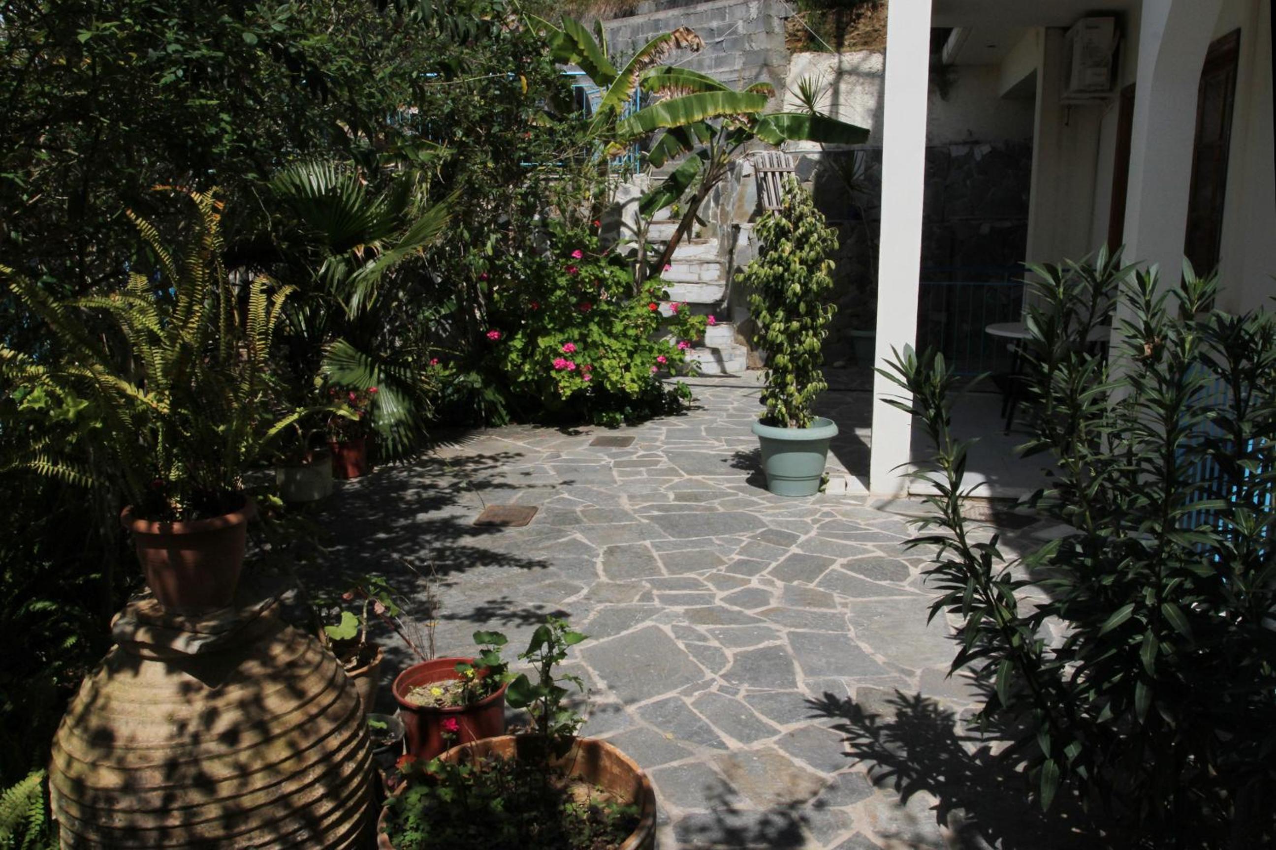 Photo 26