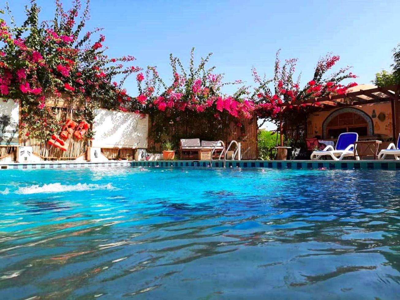 Nile Compound