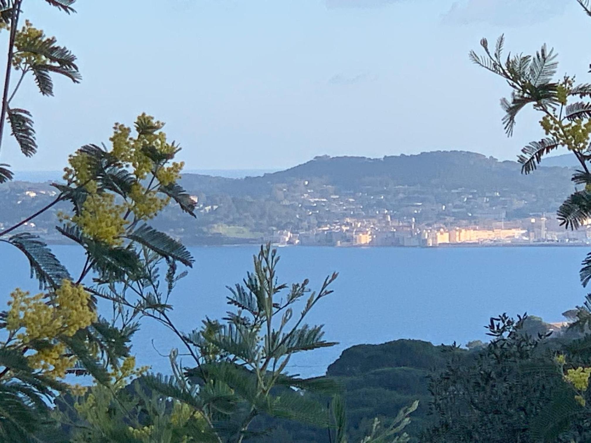 Sainte-Maxime Vacations - LE GRAND LARGE - Property Image 22