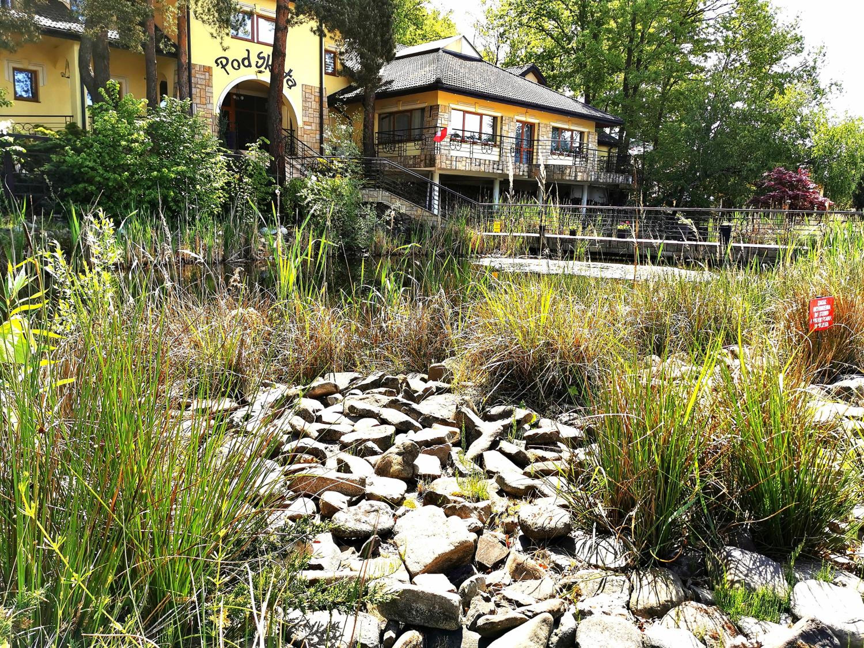 Photo 7