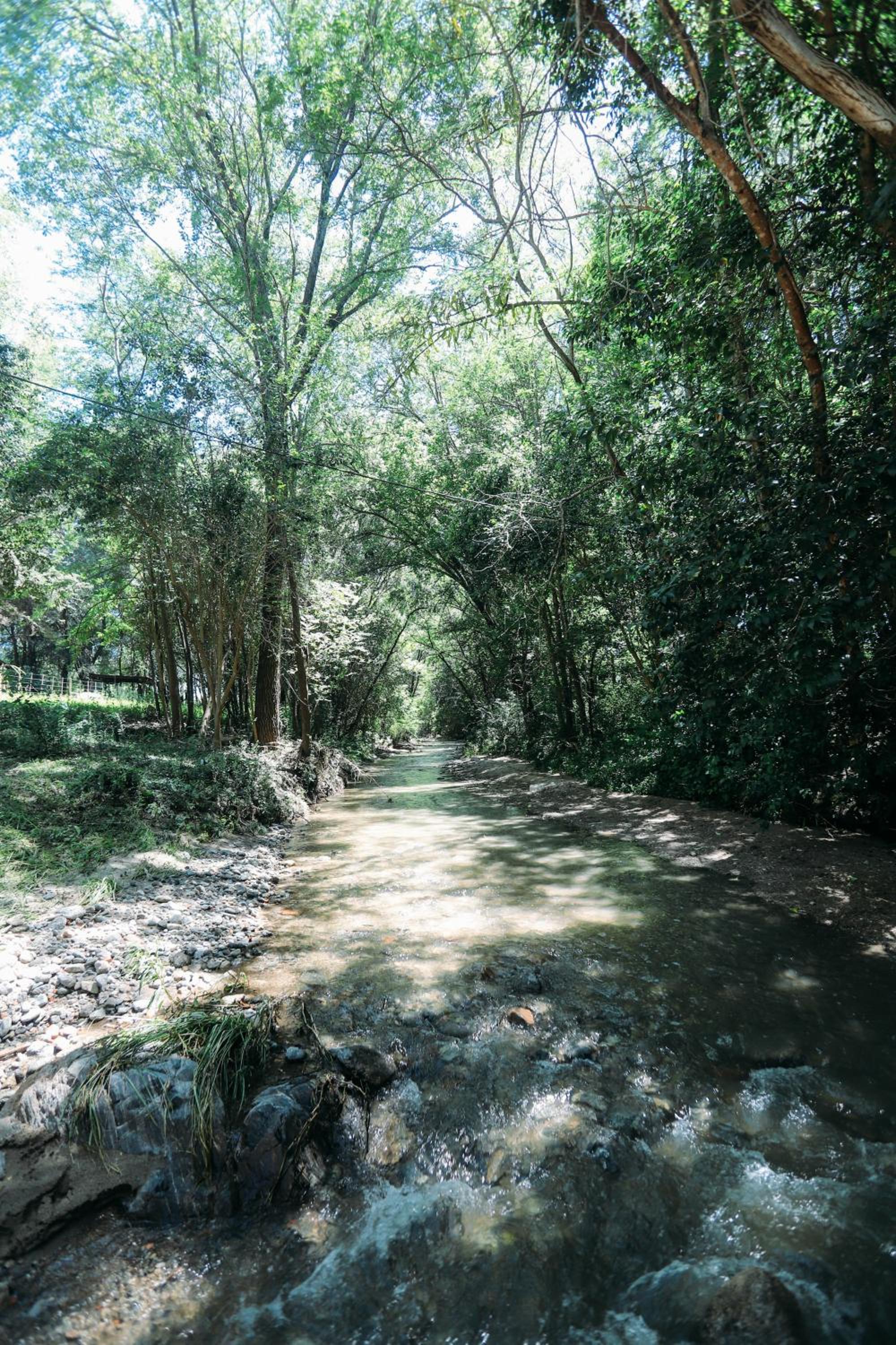 Cabaña Modestita - FINCA PUDUAM