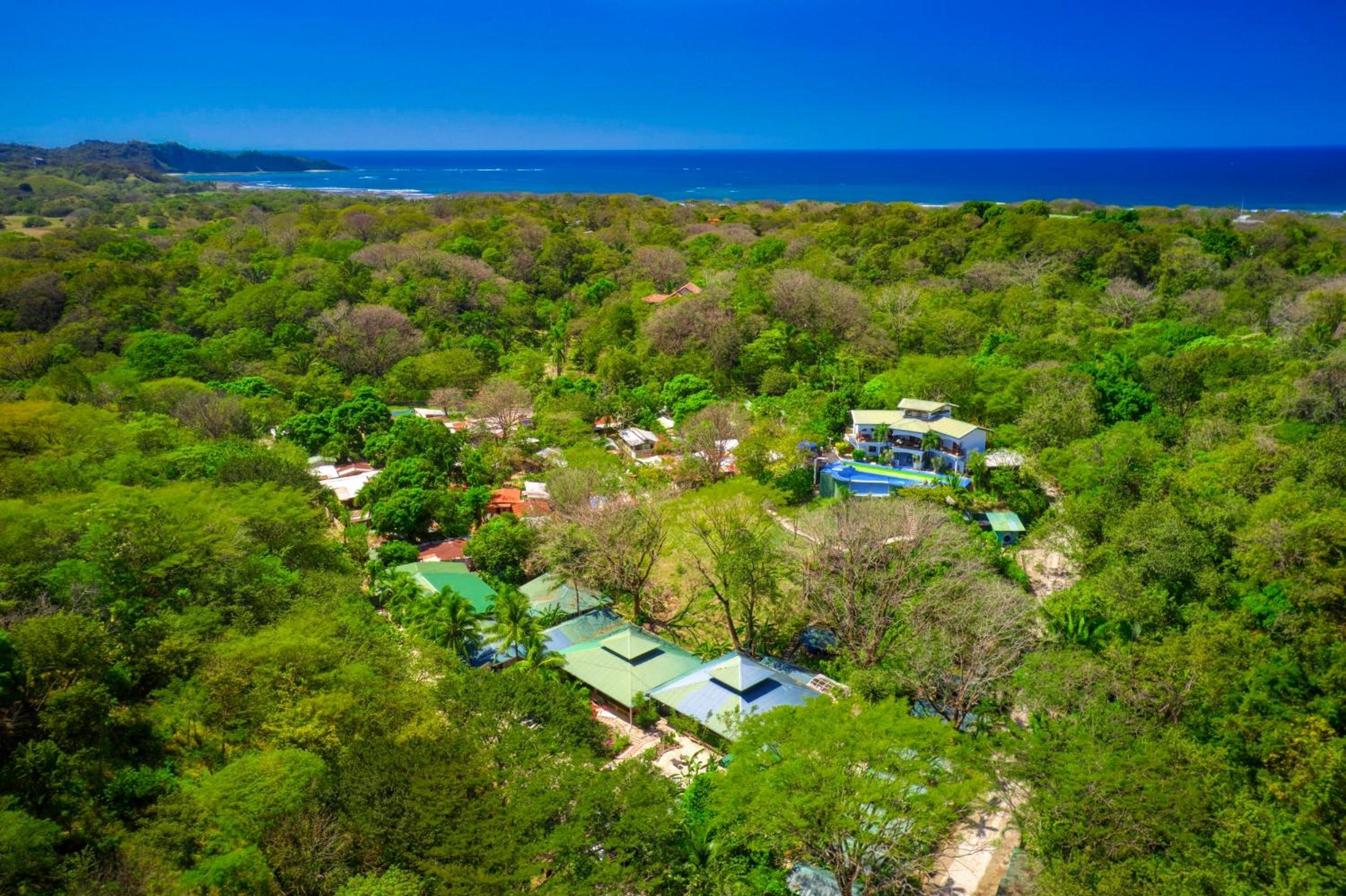 Hotel Jungle's Edge - Image 1