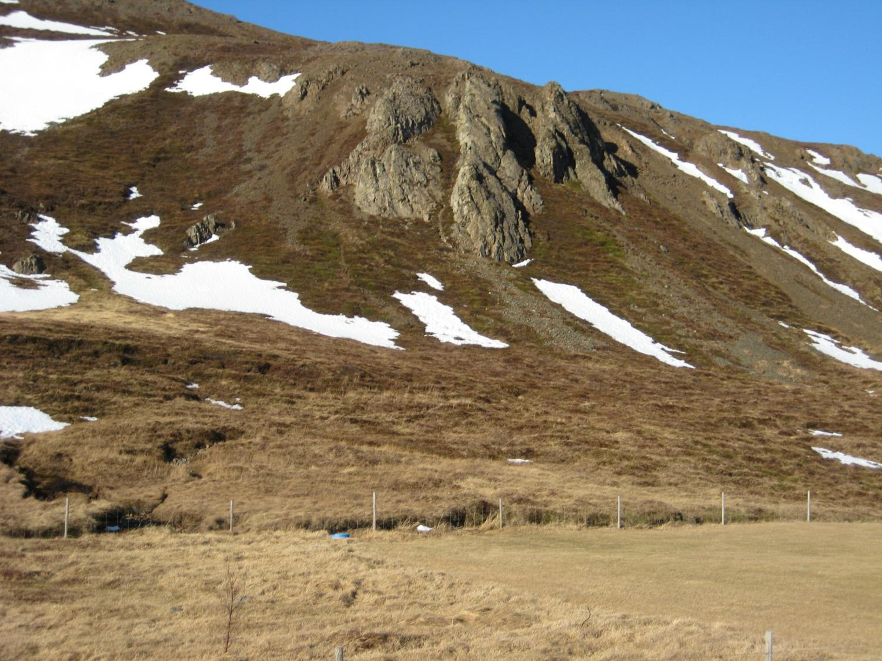 Photo 61