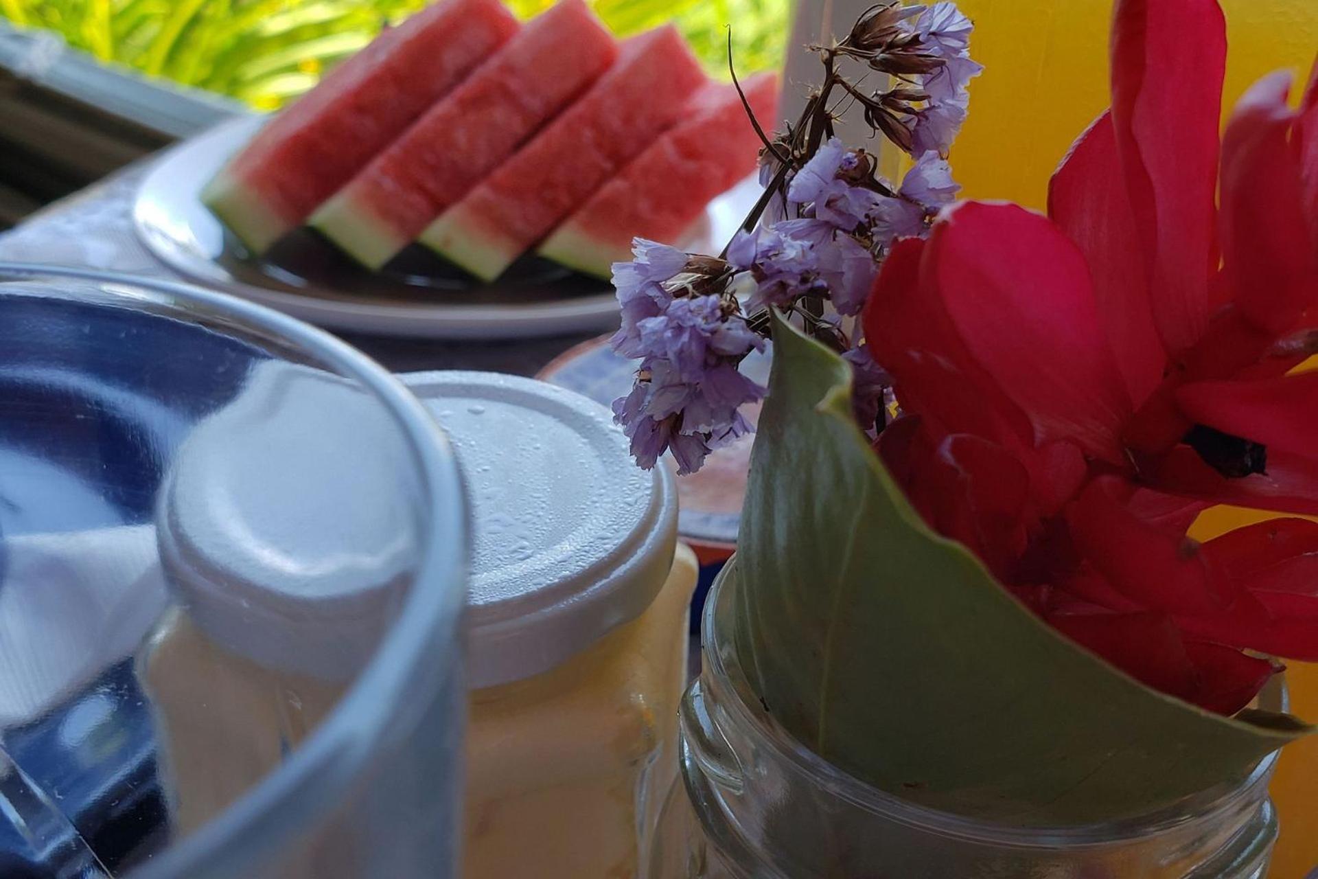 Elephant GuestHouse Beira Mar - Suítes com Café da Manhã