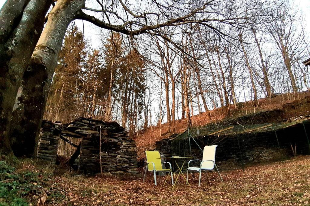 La maison sous les arbres