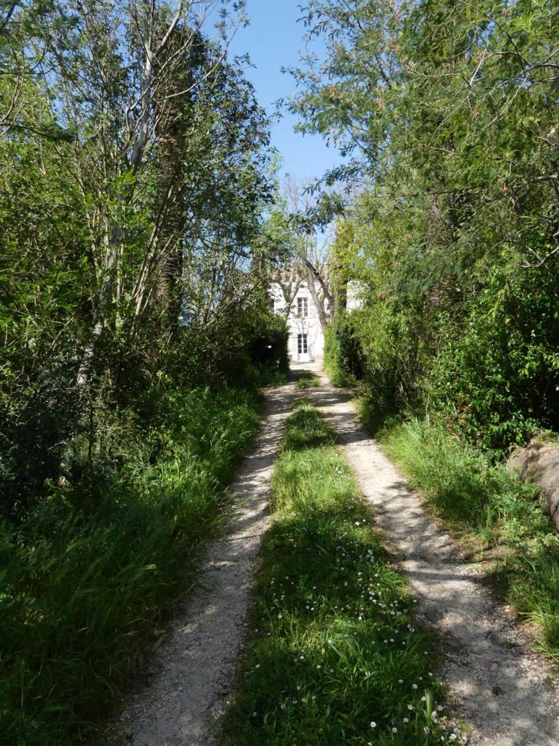 Le charme d'une vieille bastide provençale view 2