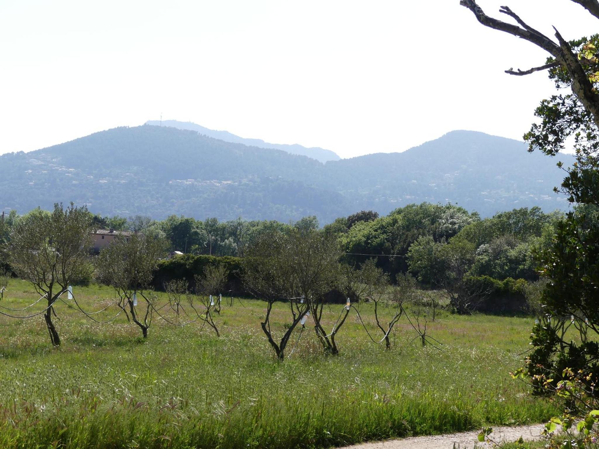 Le charme d'une vieille bastide provençale view 4