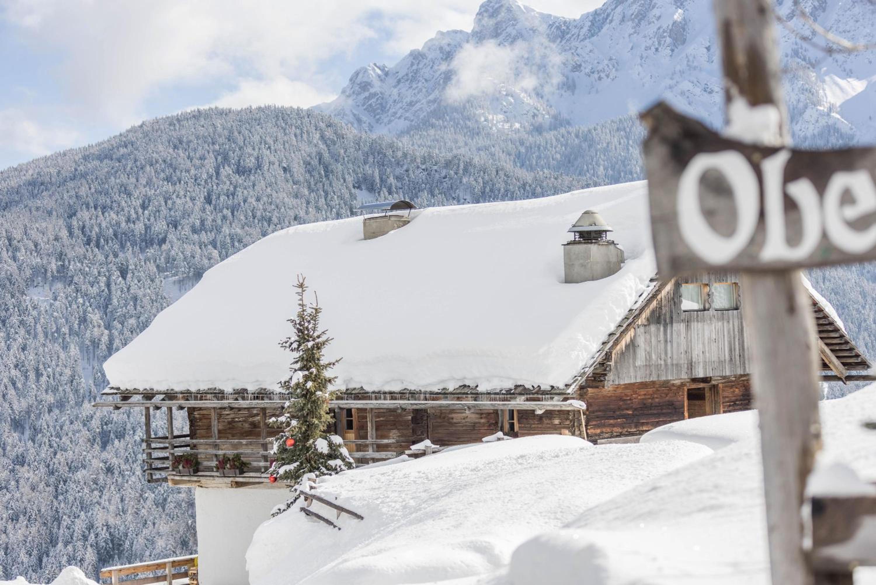 Obereggeralm photo 4