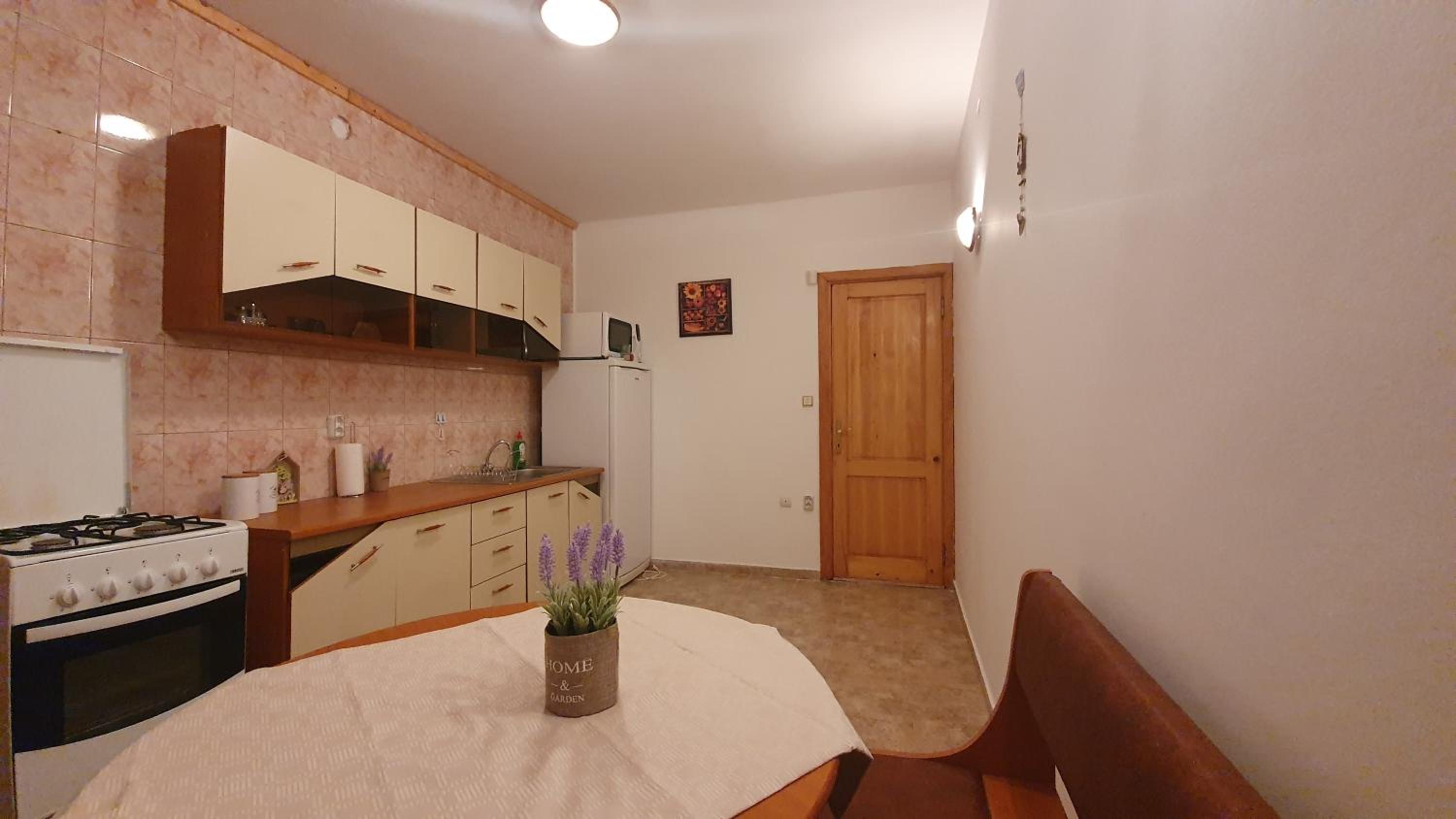 Vila Panselutelor 6 view 2