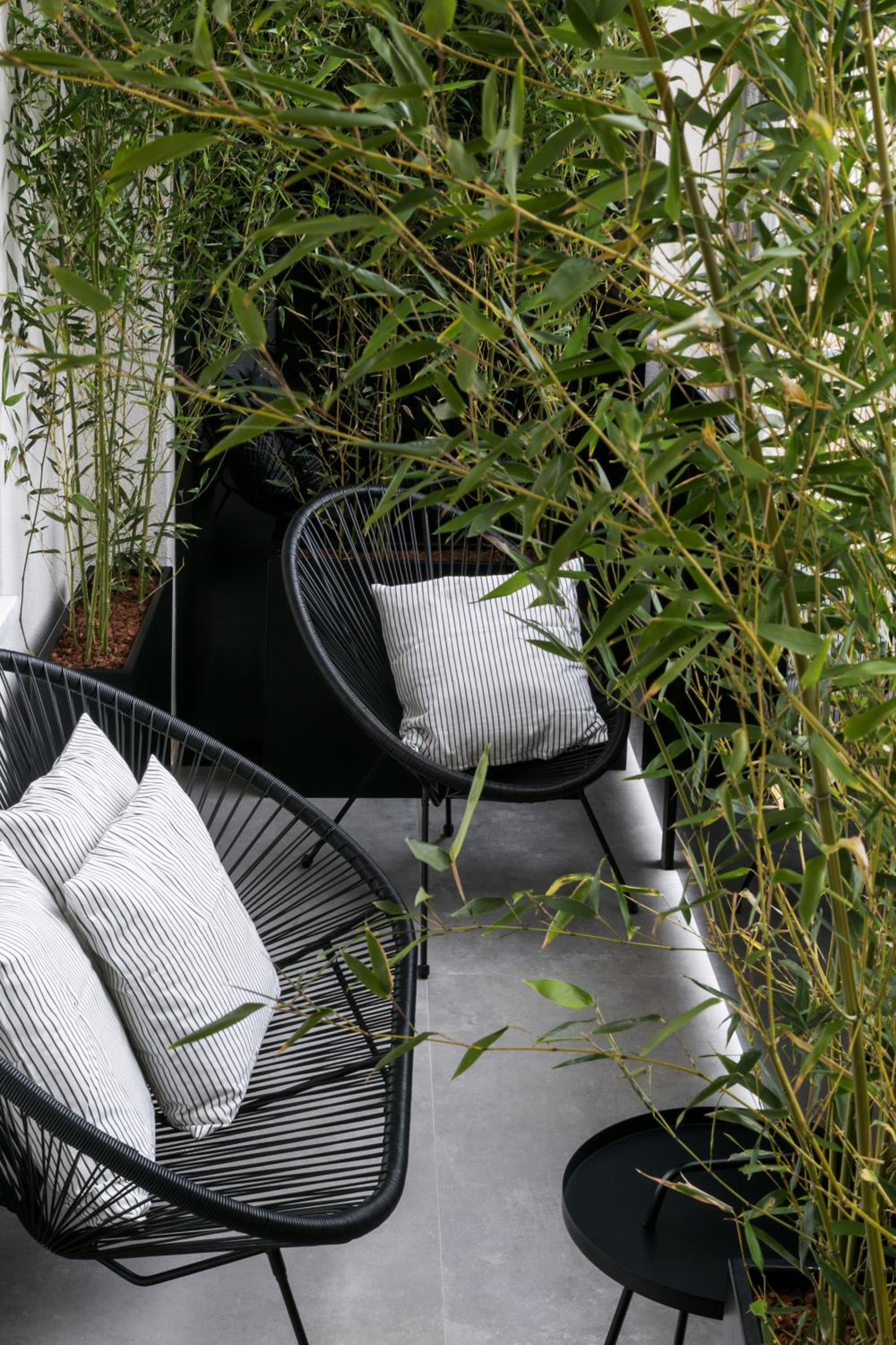 Hotel Bumblebee Luxury Apartments 2 - Image 1