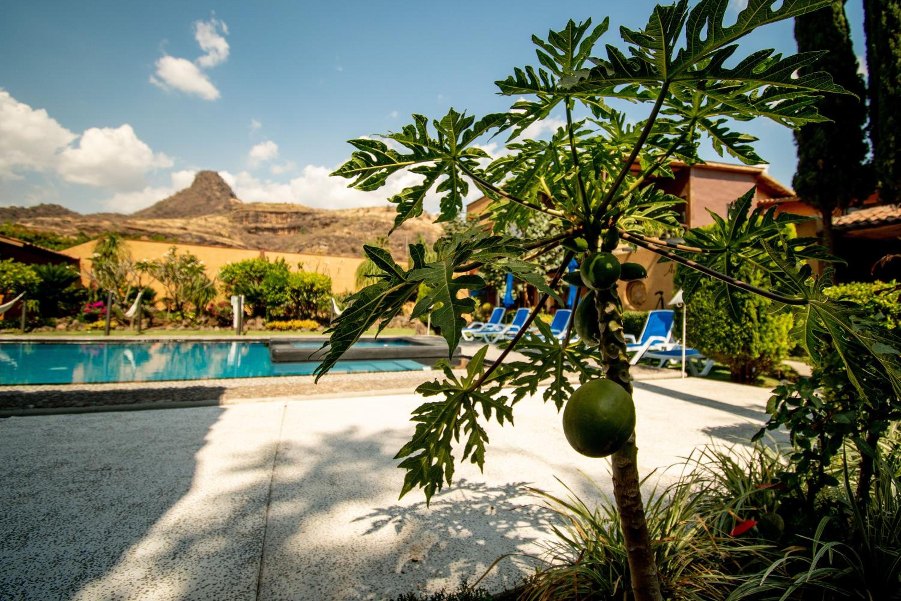 Quinta Ascensión Hotel Boutique Only Adults, photo 97