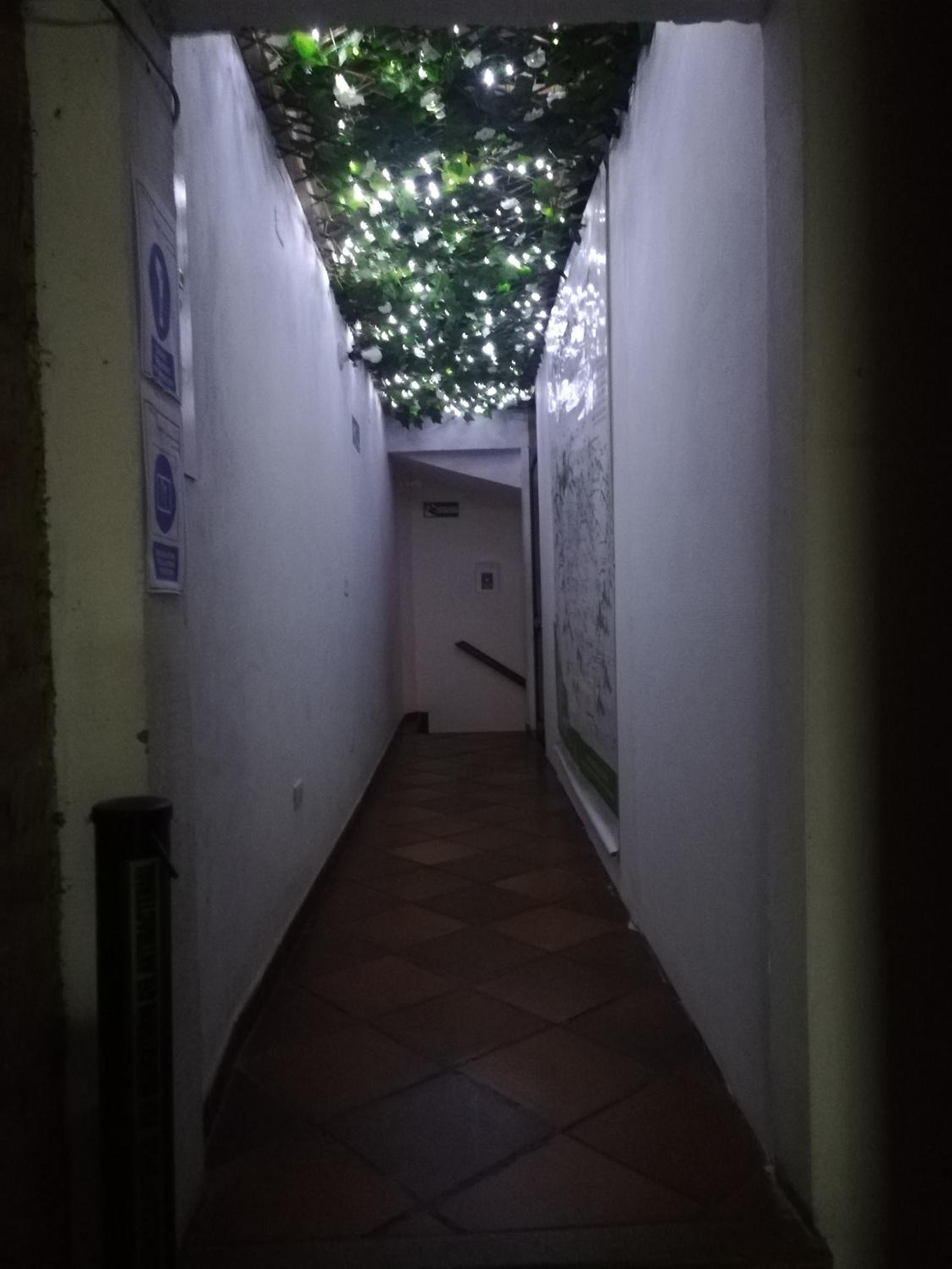 Cemandy Hostal