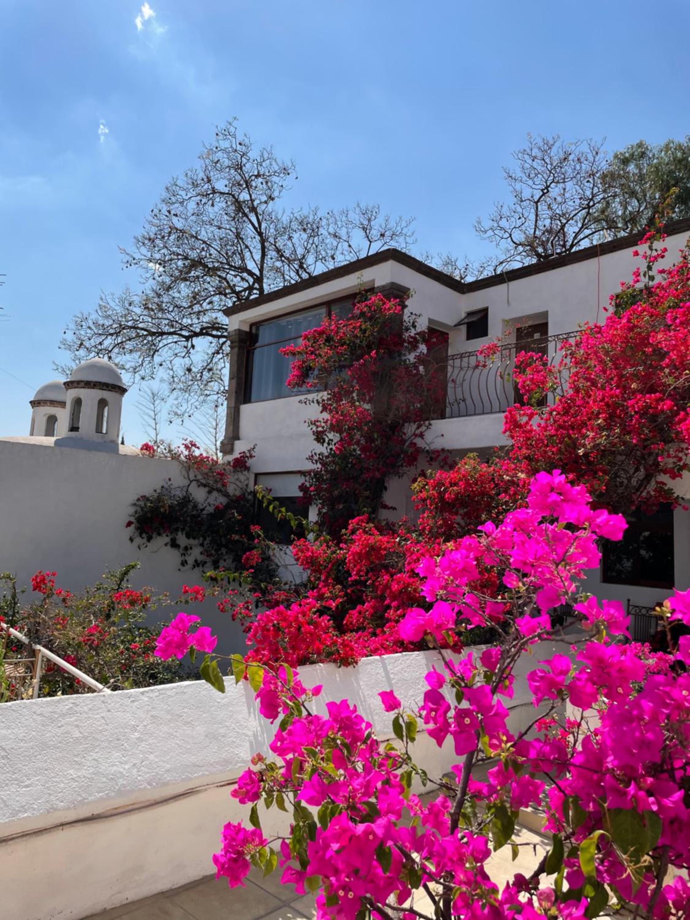 Hotel Casa San Miguel - Image 1