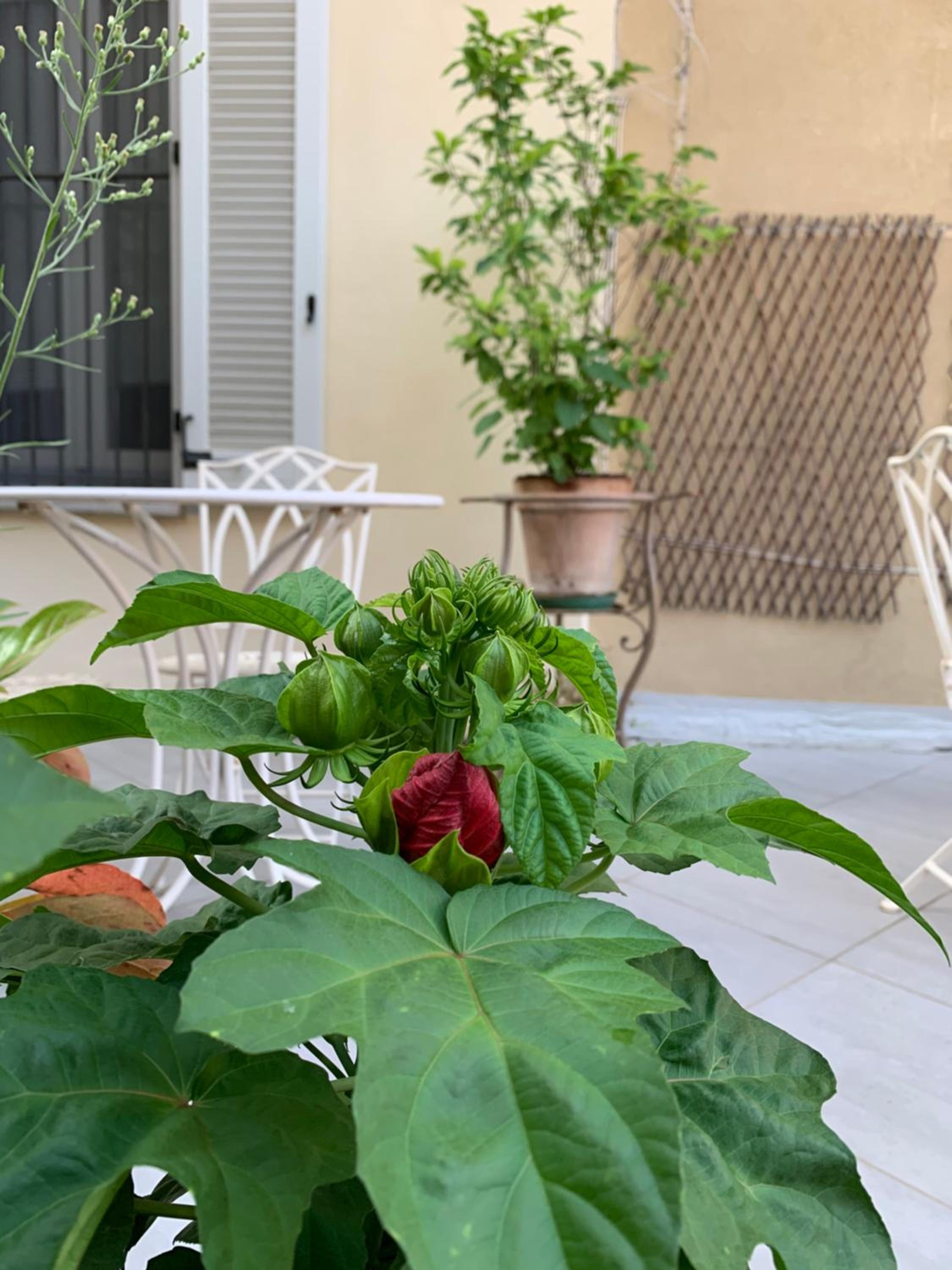 La Terrazza Vercelli Bed & Charme