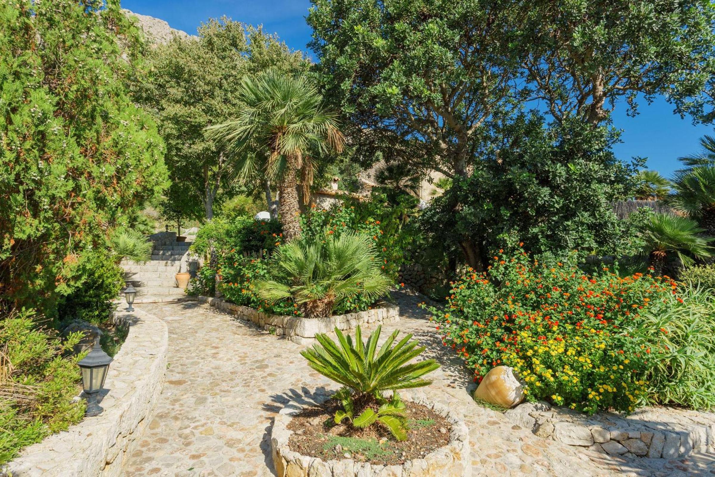 Villa Boquer Petit - Piedra view 4