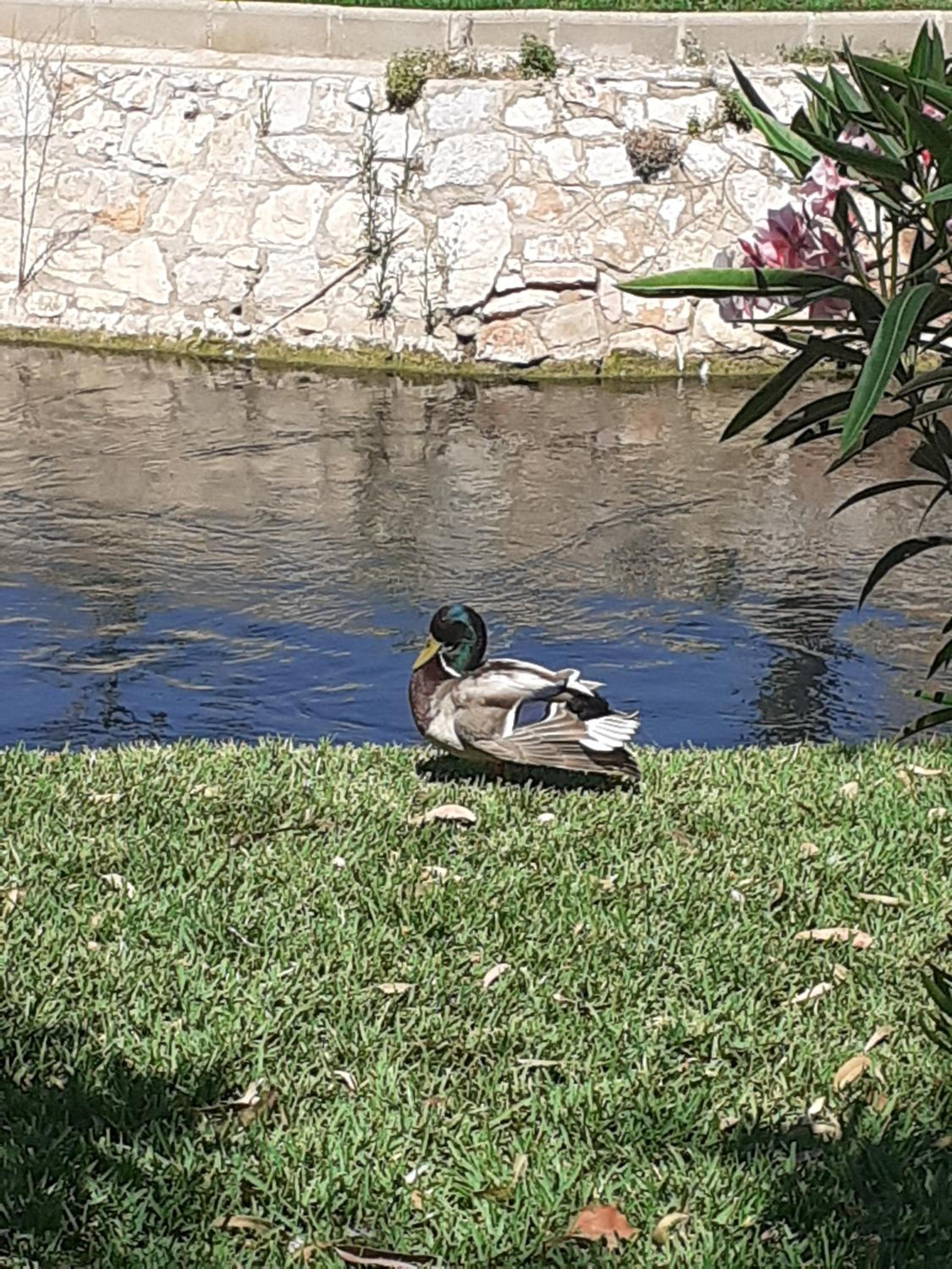 Photo 32