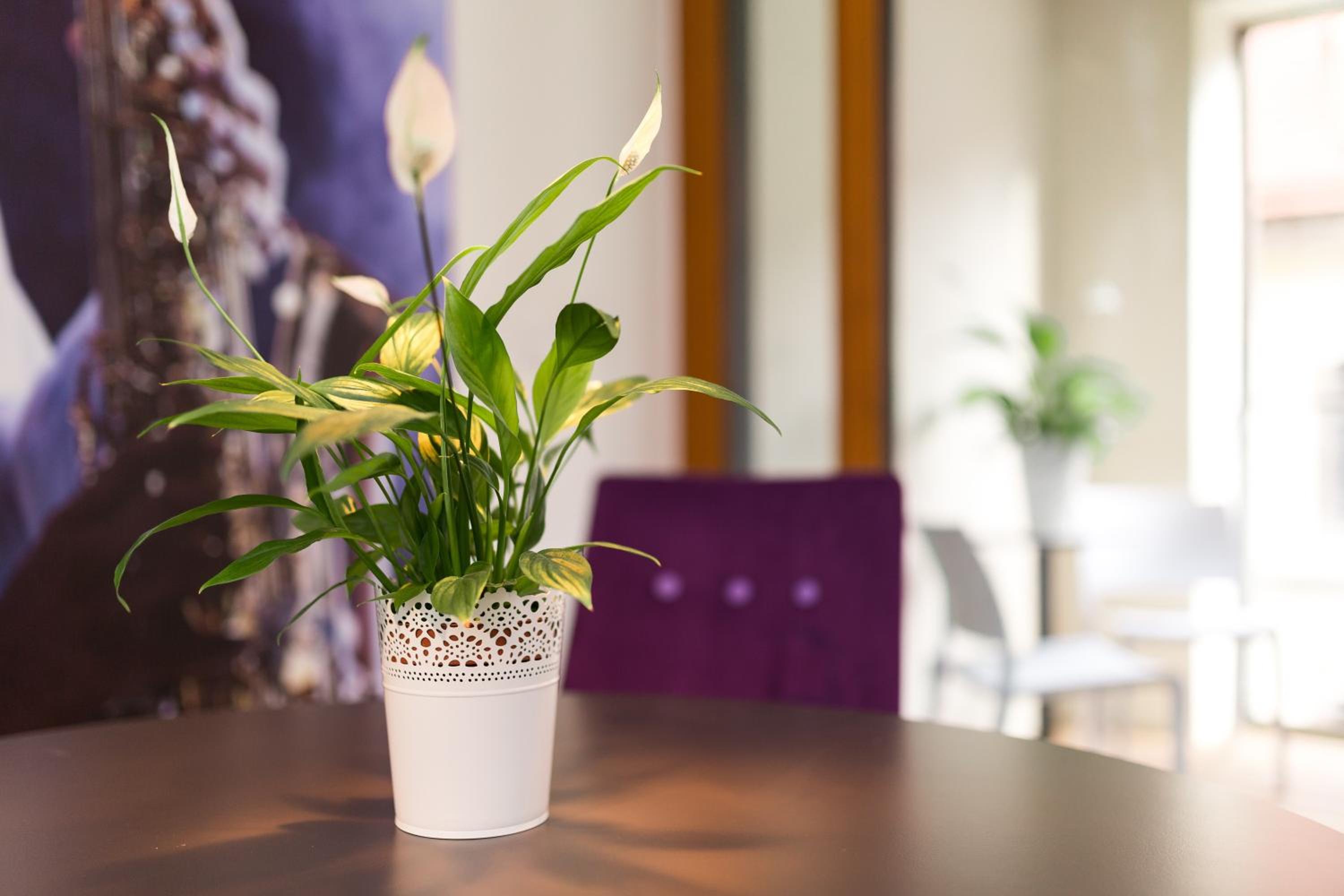 Dresden Vacations - Modernes Apartment am Neumarkt - Property Image 10