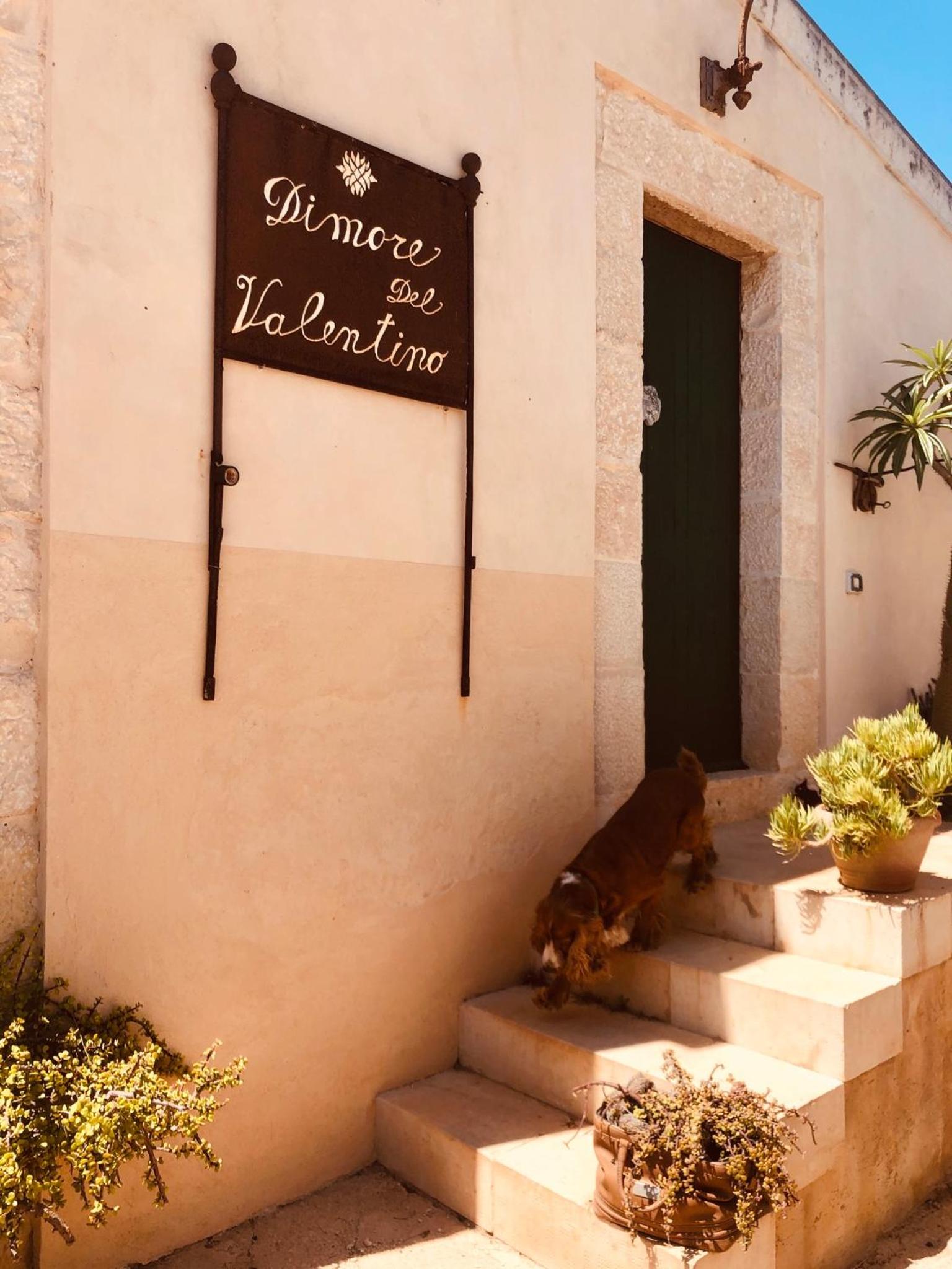 Dimore del Valentino