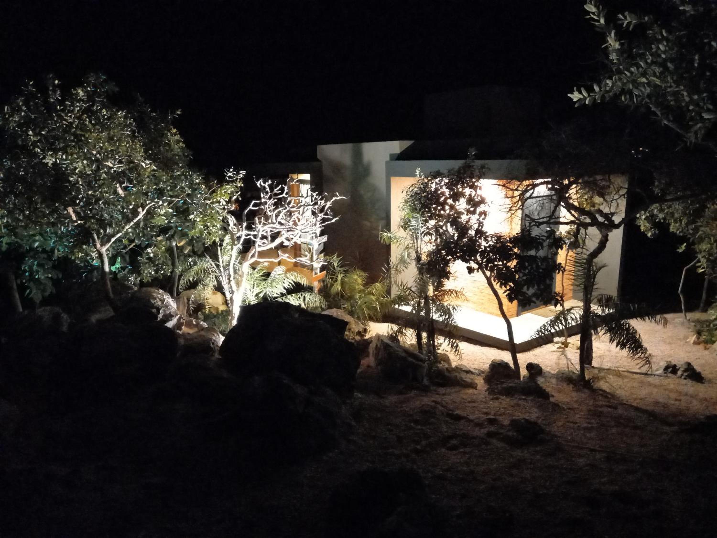 Photo 42