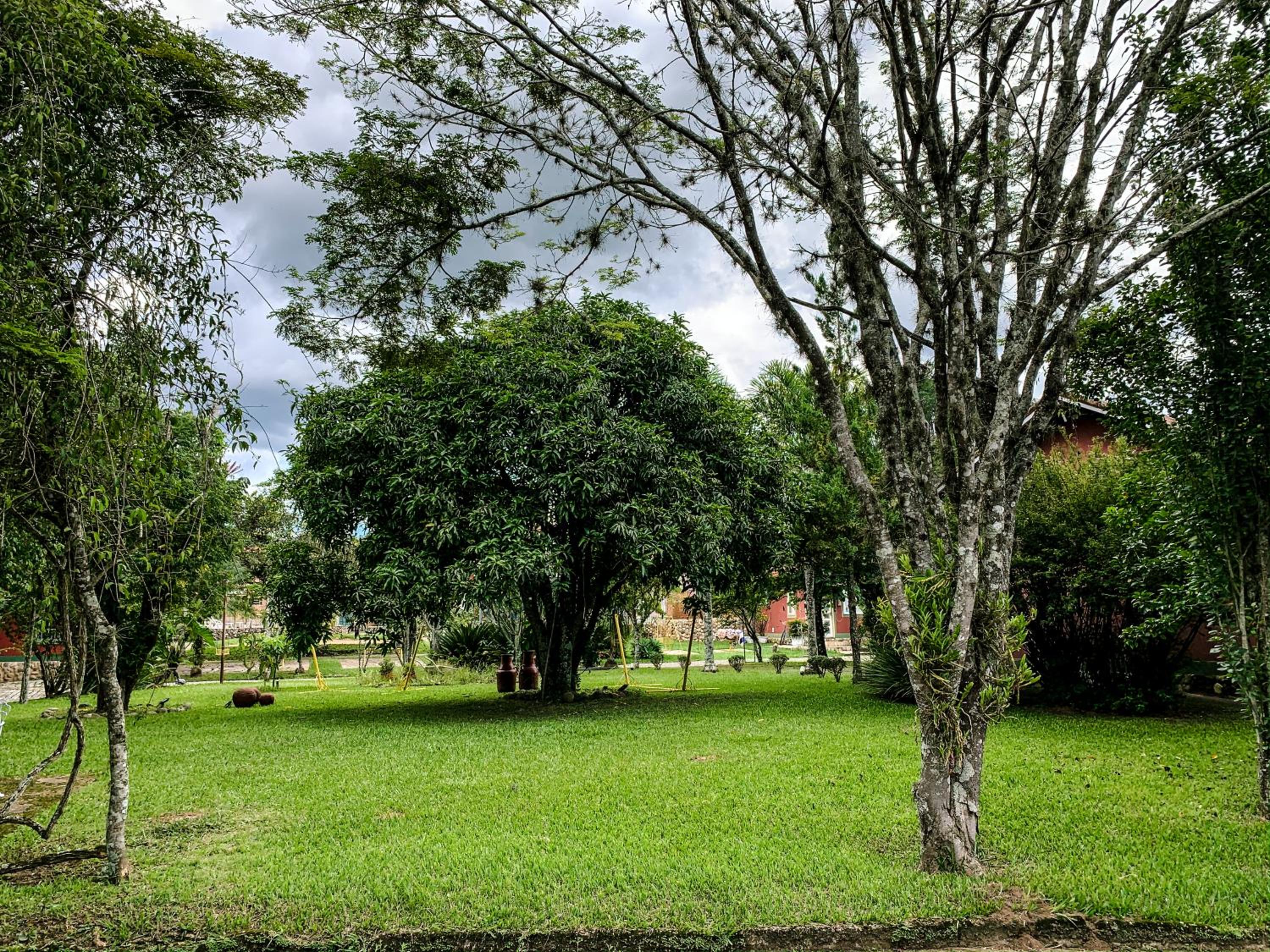 Photo 40