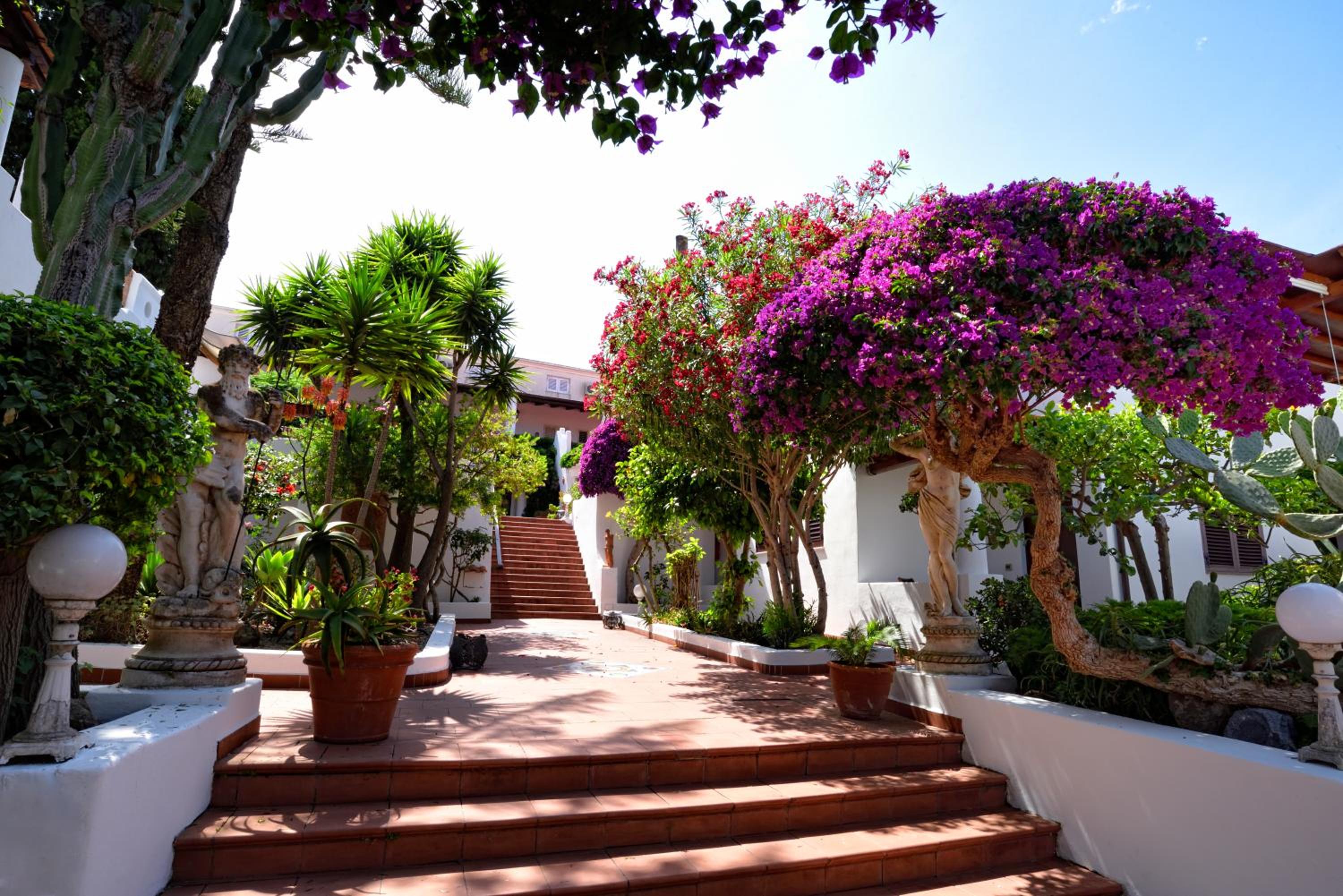 garden
