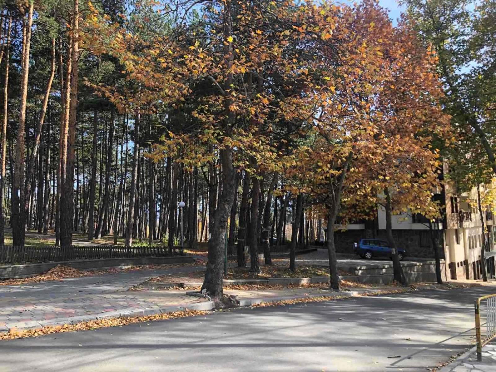 MIDAS - Borov Park view 3
