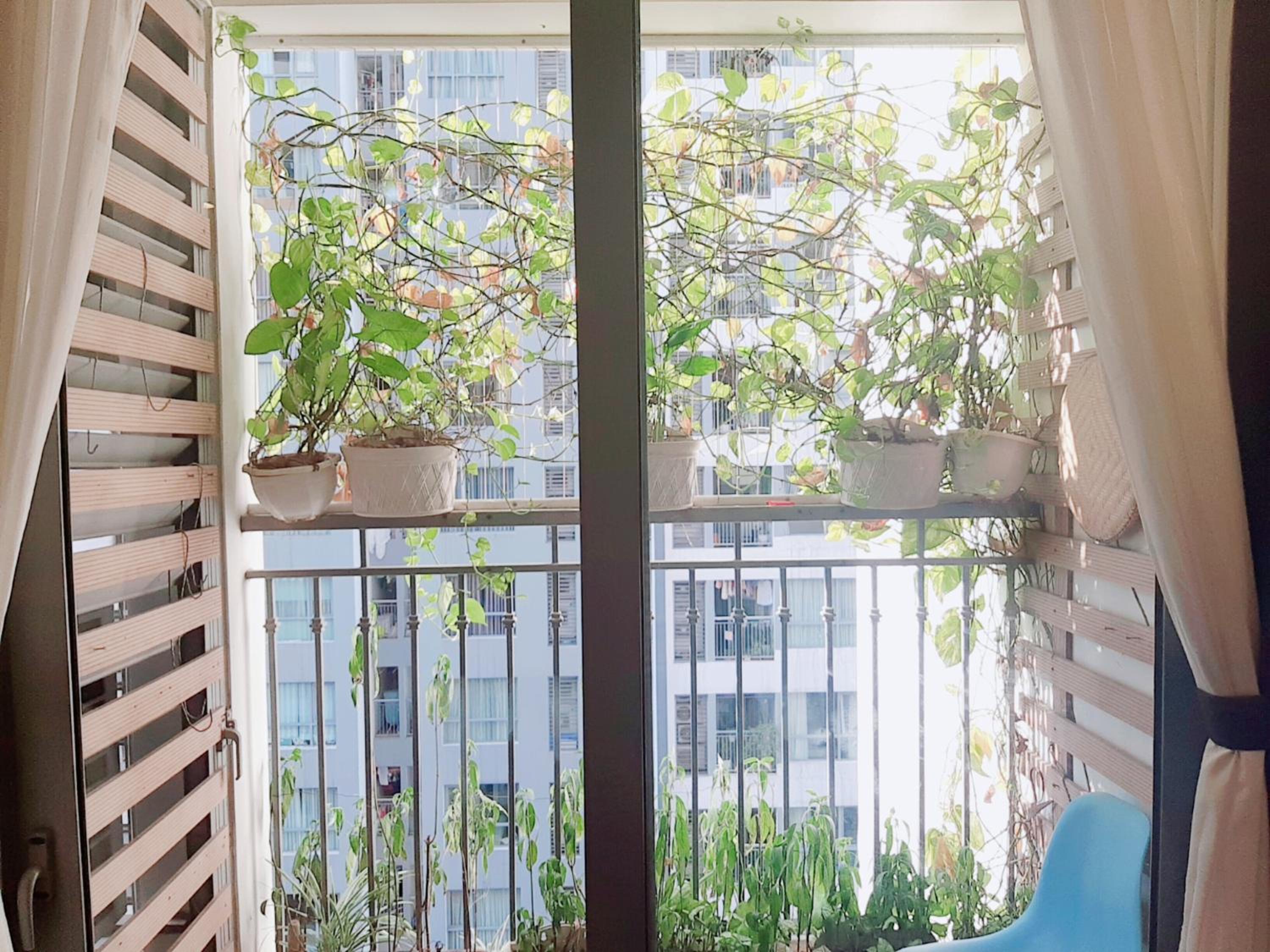 BOM HOMES- Vinhomes Times City- Service Apartment
