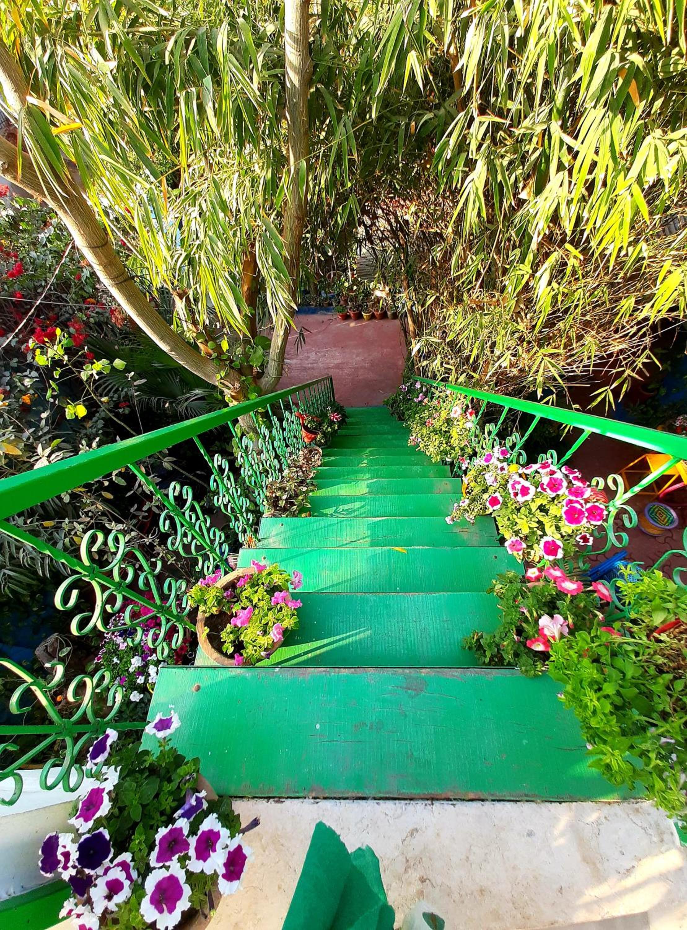 The Coral House Homestay by the Taj