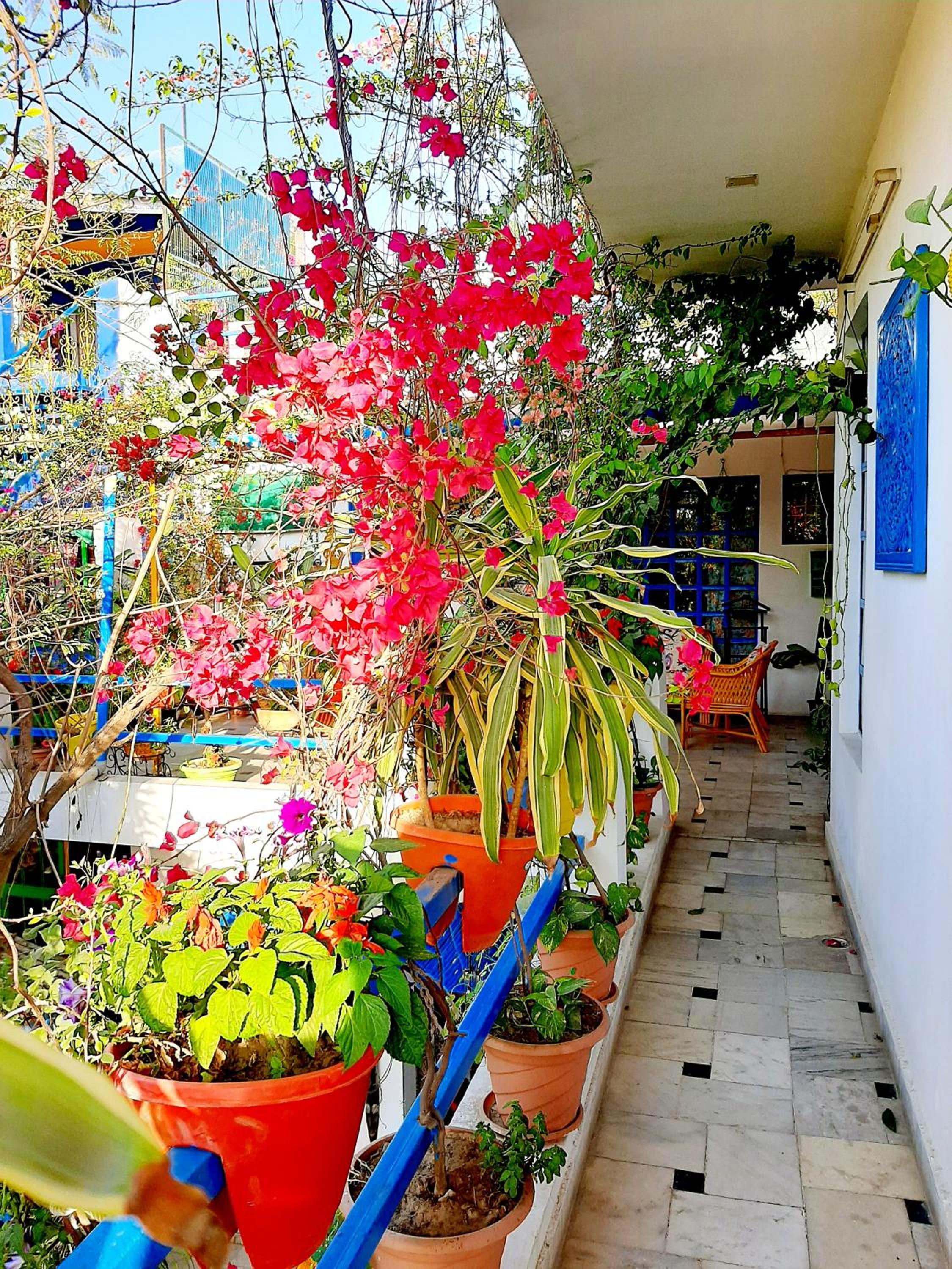 The Coral House Homestay by the Taj