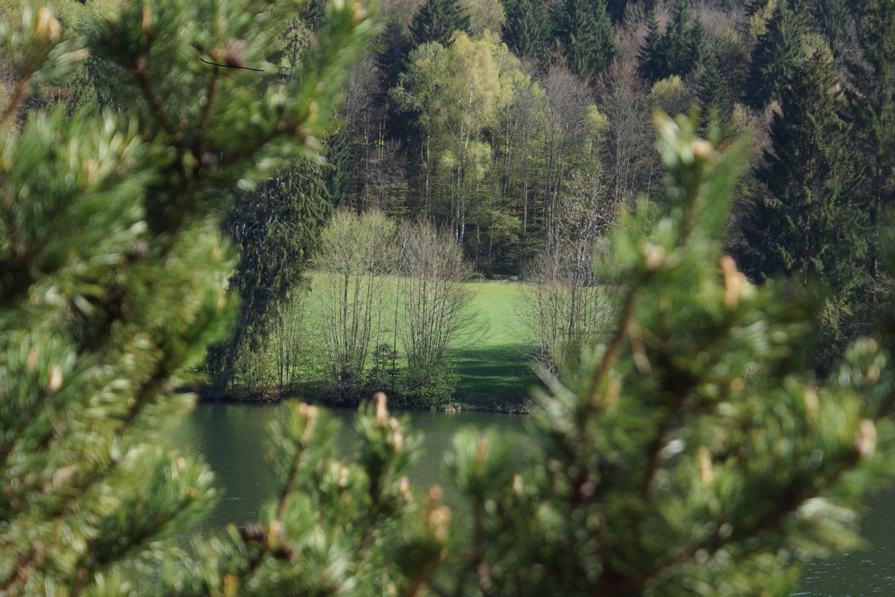 Landgasthof Trattnig