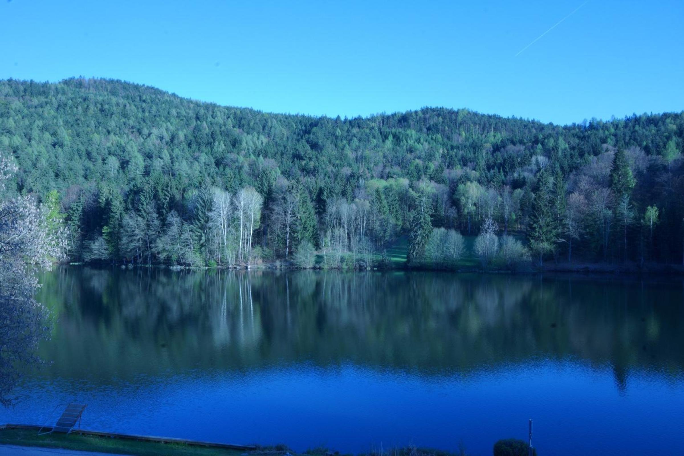 Landgasthof Trattnig