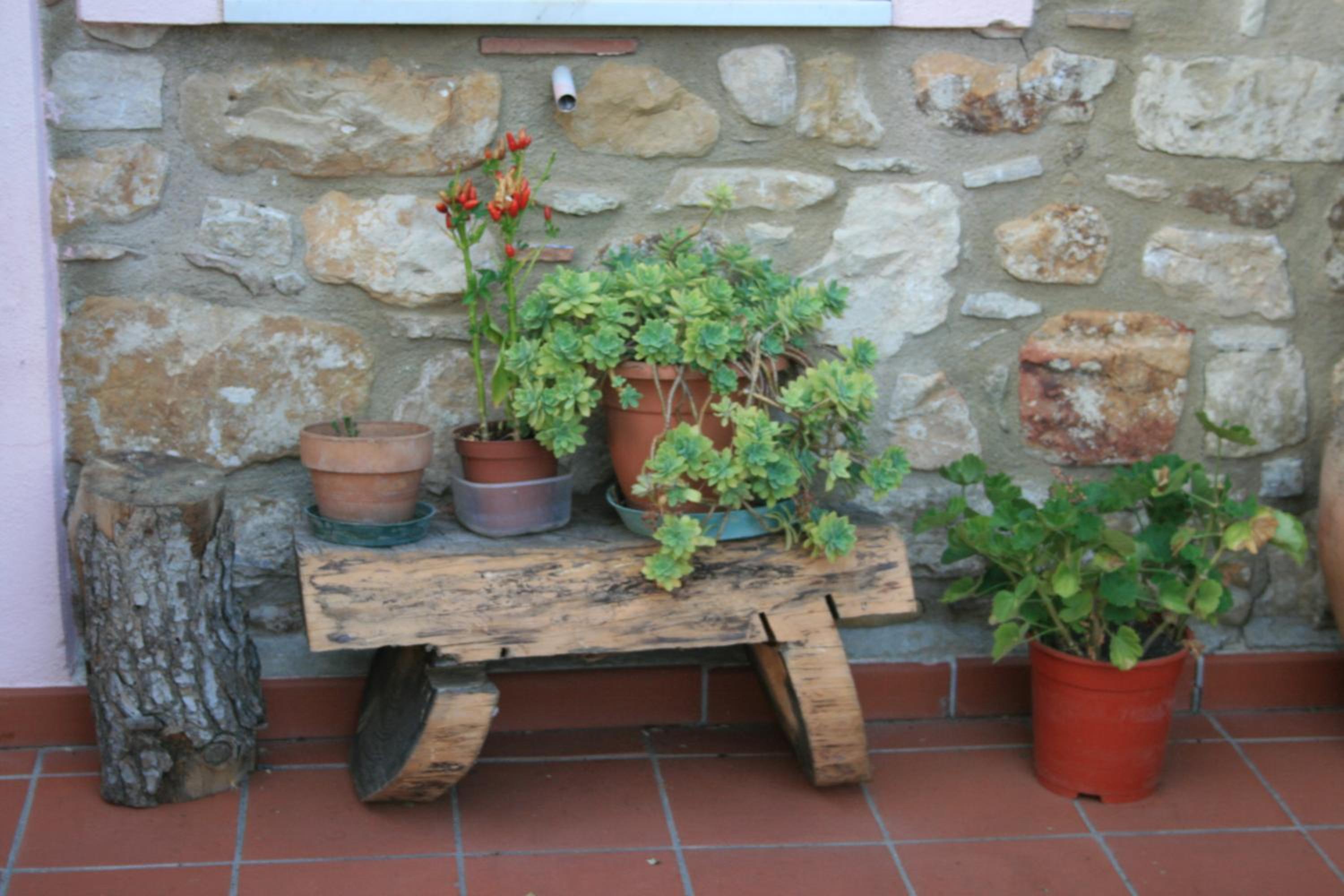 Photo 37