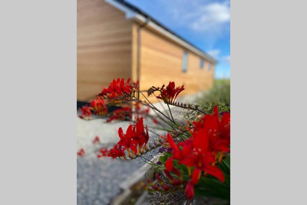 The Gallafield, Self Catering Bungalow , Stornoway view 4
