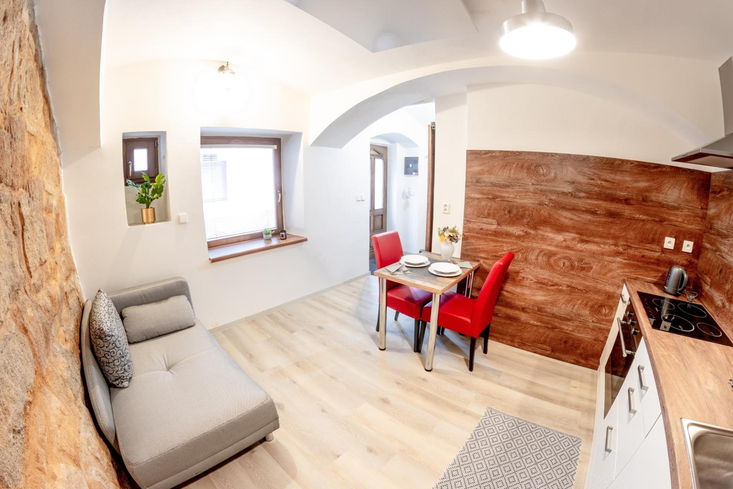 Pilsen apartment view 5