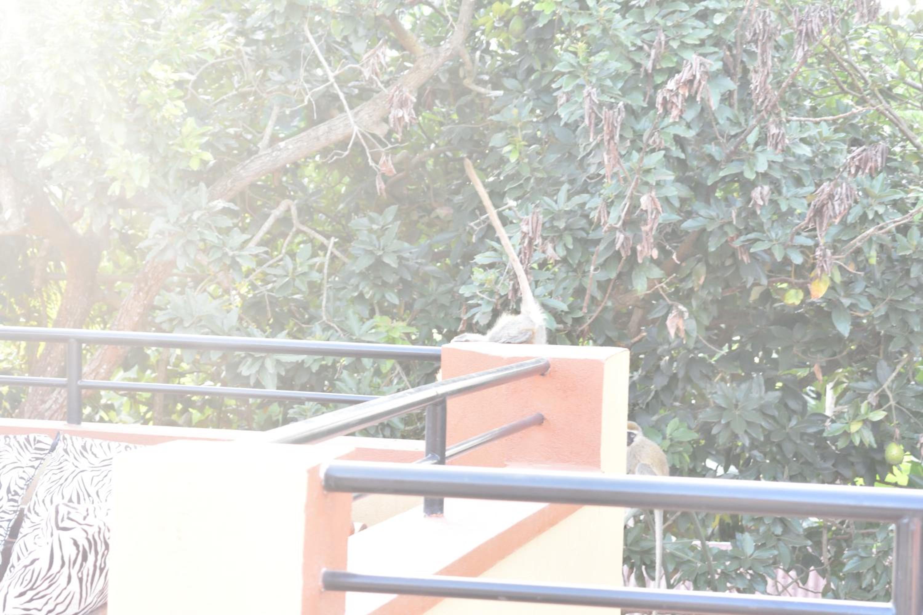 Secrets Guest House, photo 36