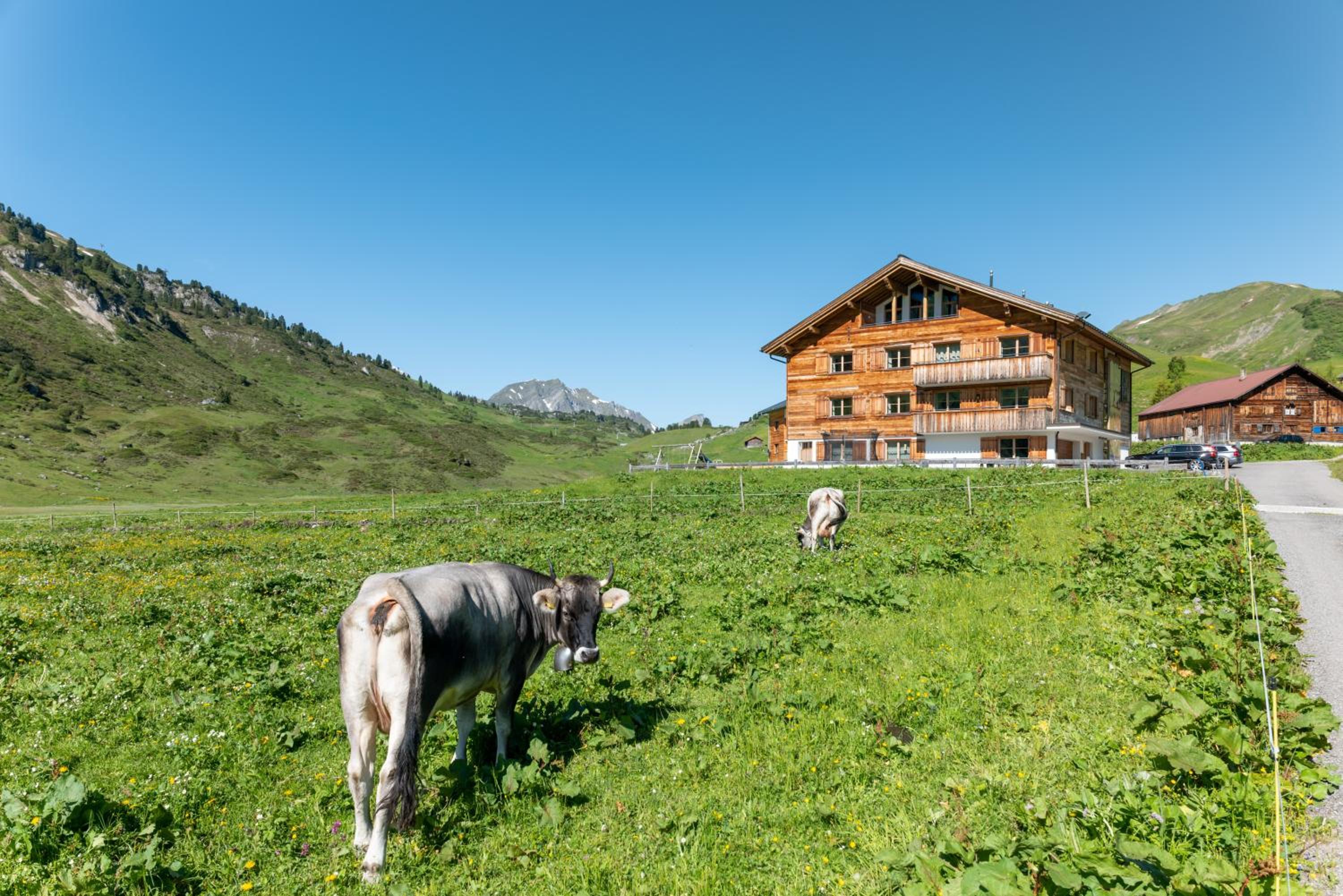 Alphus Appartements