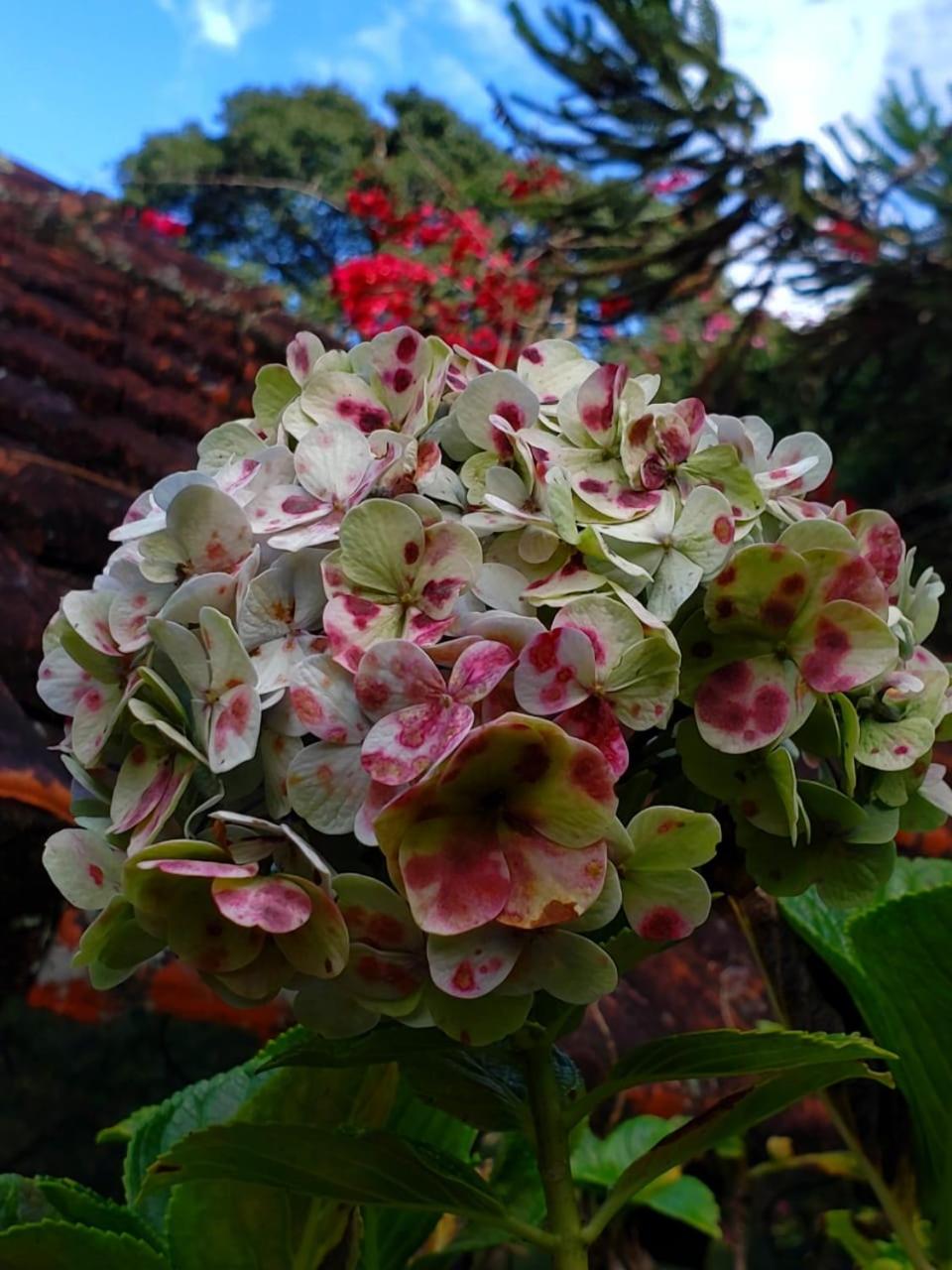 Casa Fazenda Inglesa Petrópolis RJ