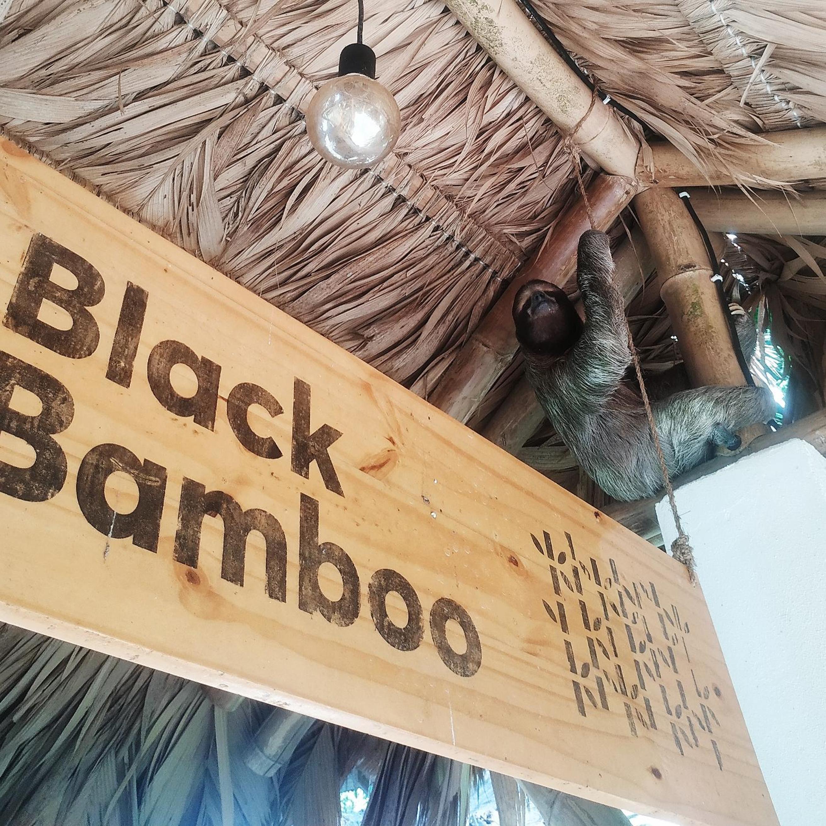 Black Bamboo