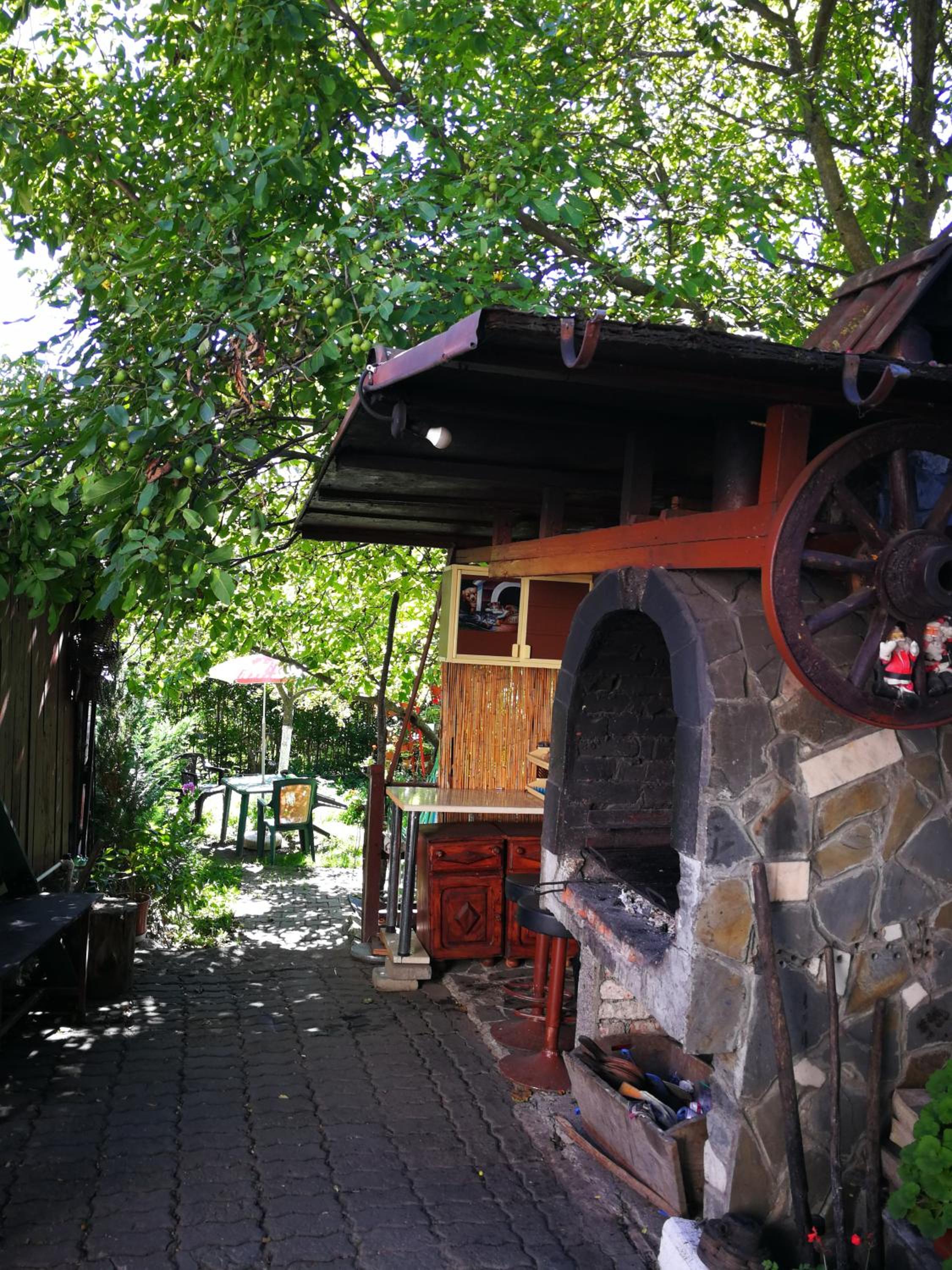 Photo 15