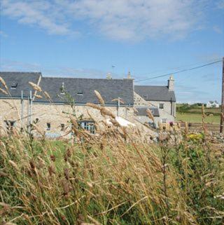 Bwthyn Derwen view 2