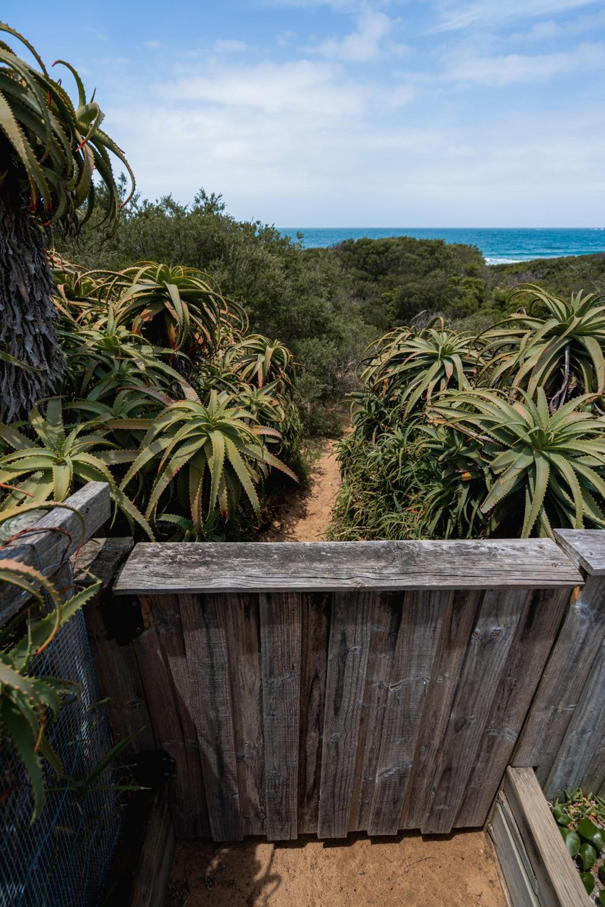 Culburra Beachhouse