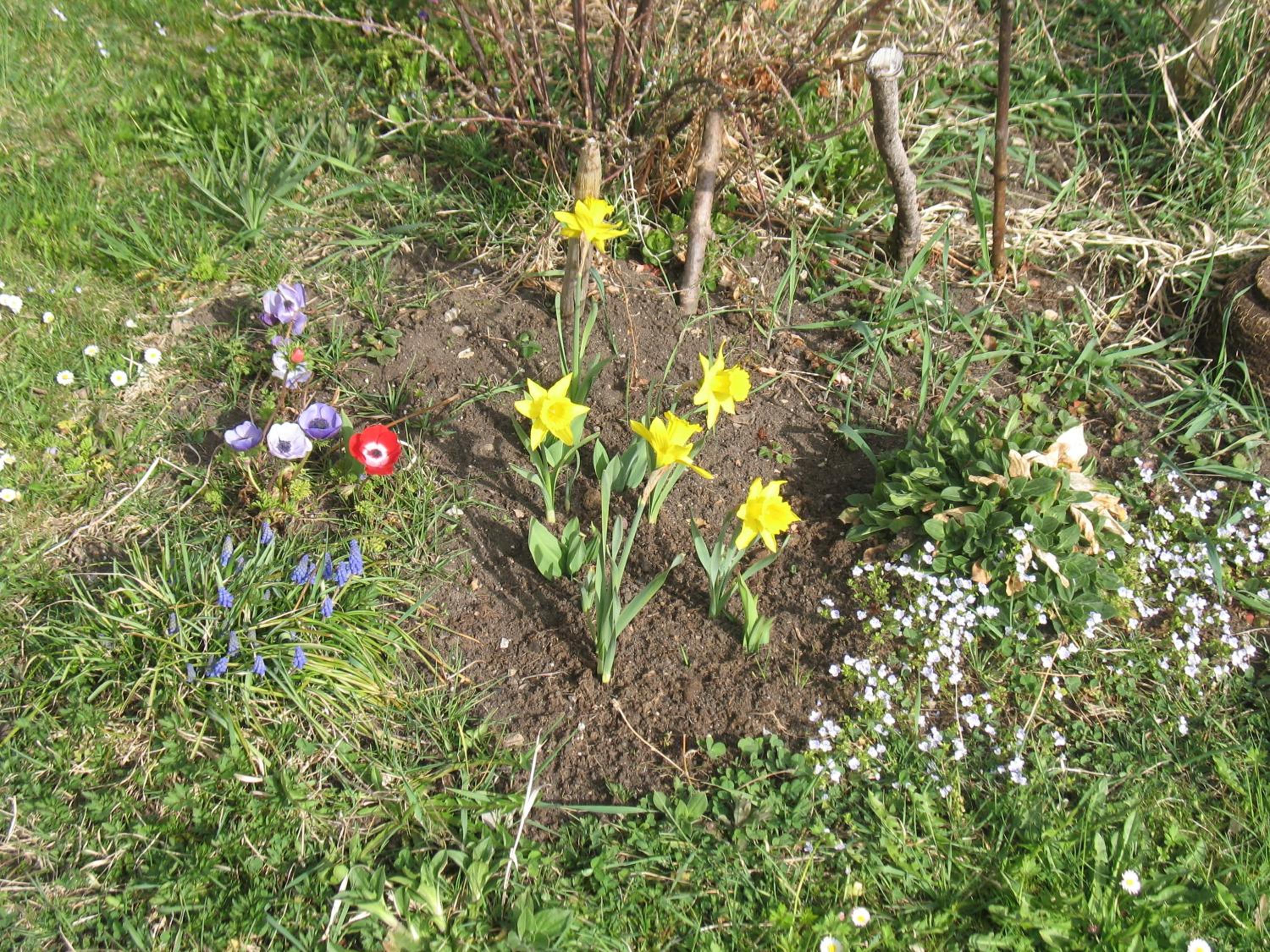 Photo 30