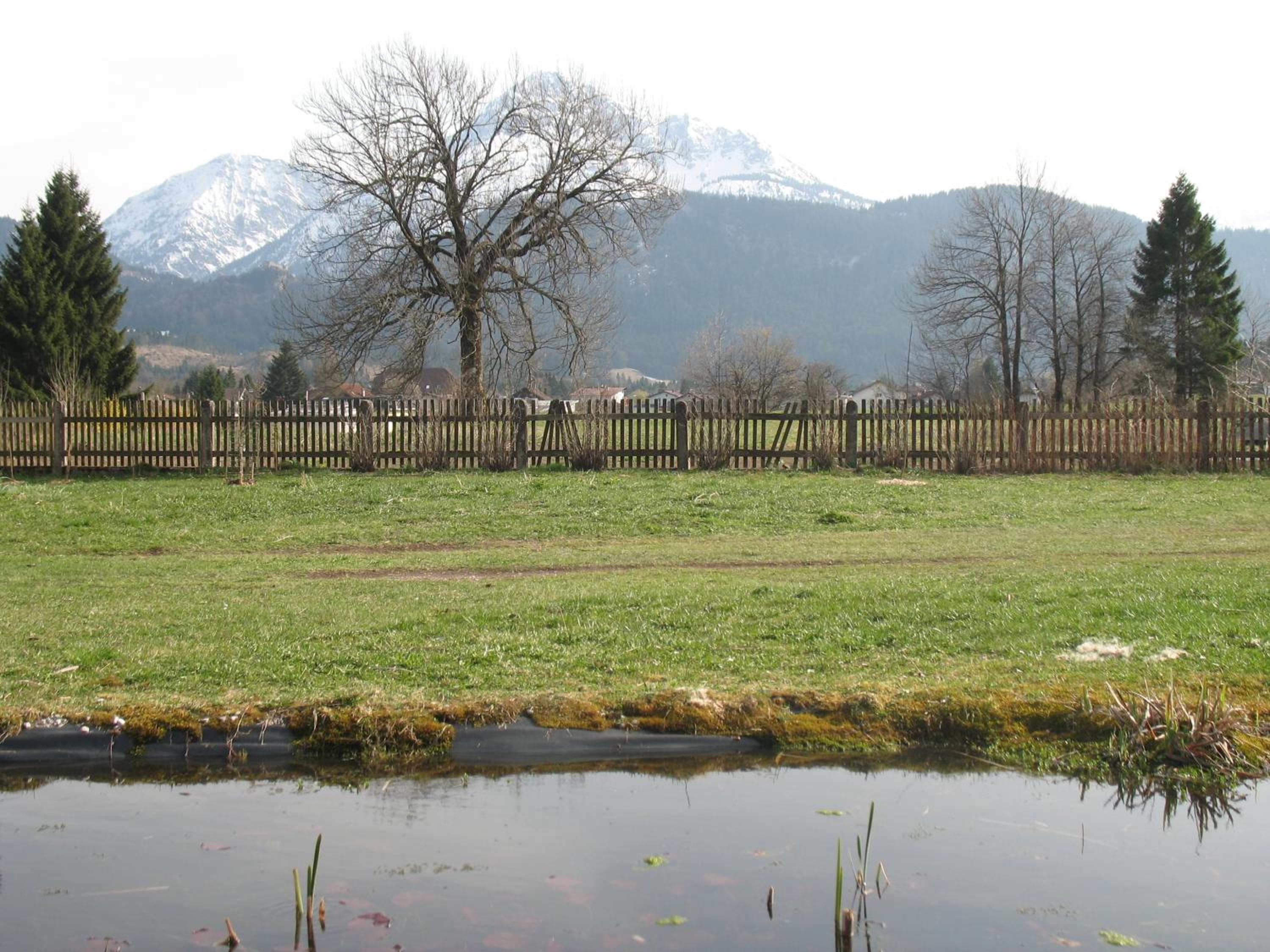 Photo 31