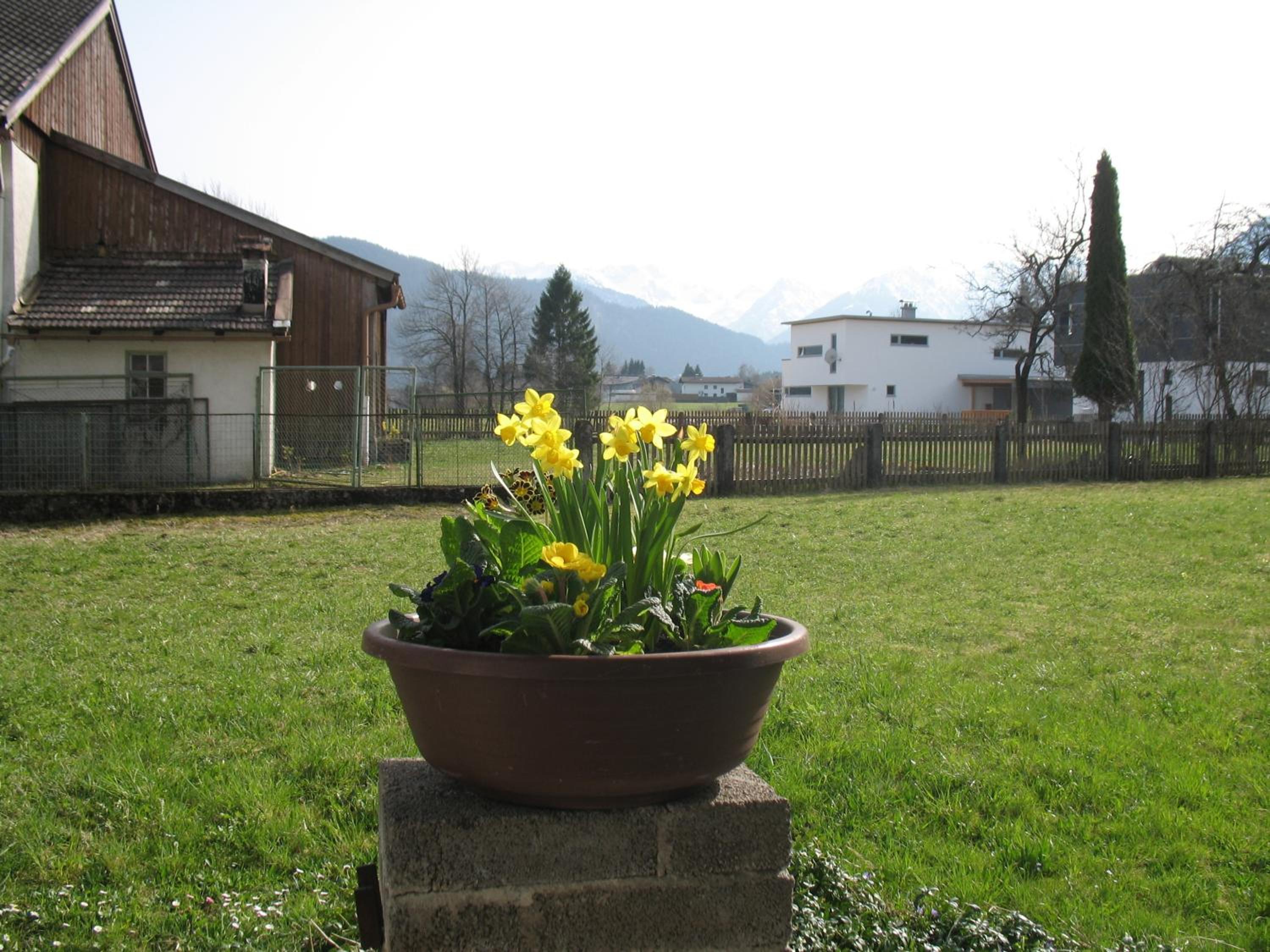 Photo 37