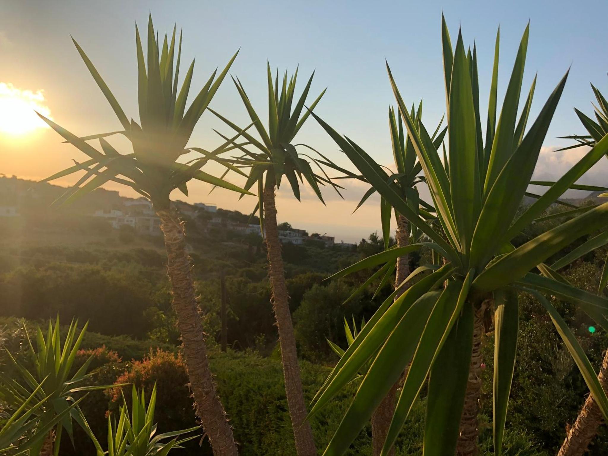 Villa Ravdoucha Homeleader view 5