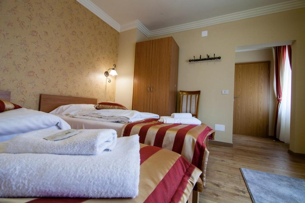 Pension Andronic view 2